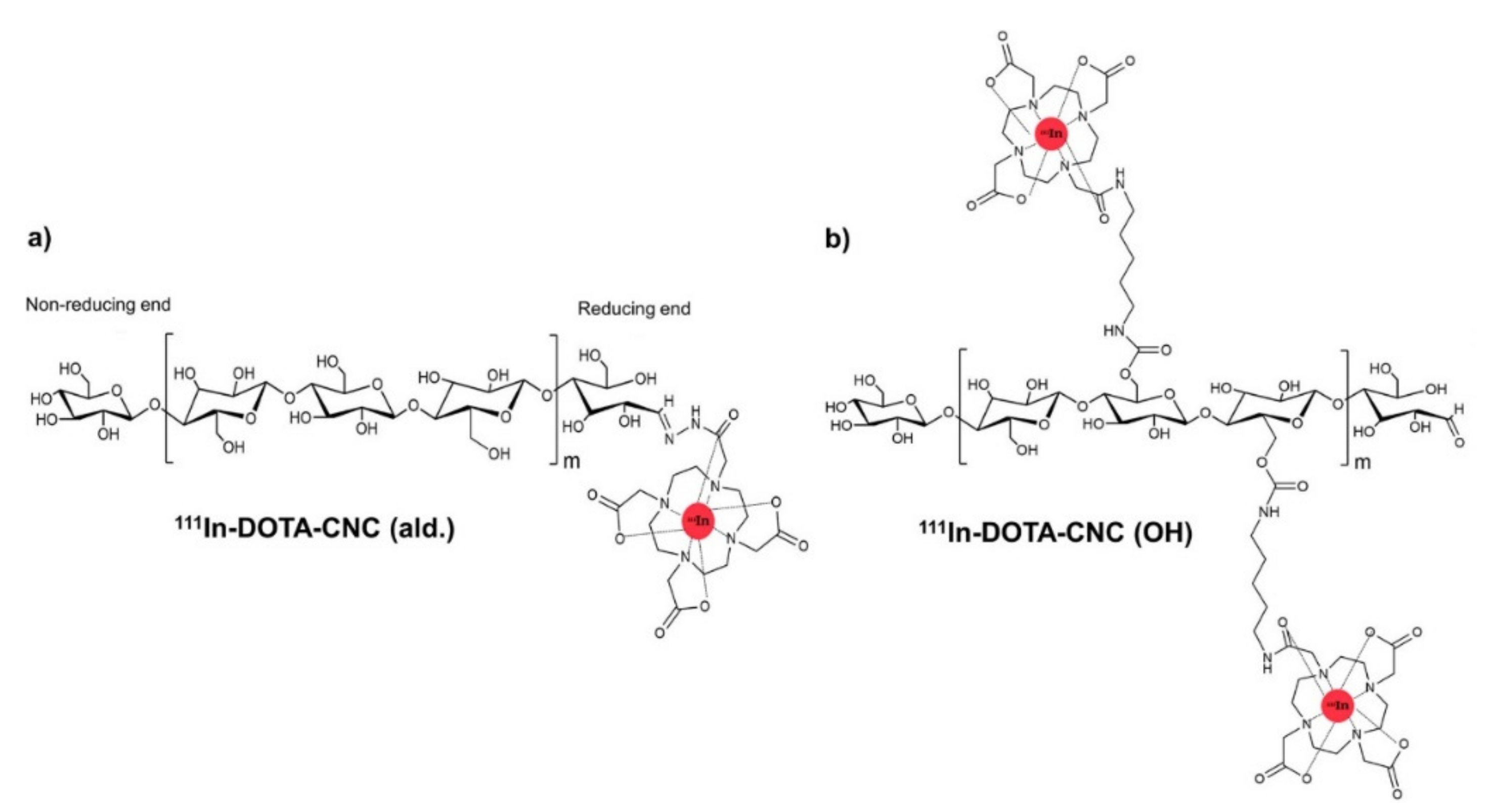 Polymers 13 03247 g016 Polymers 13 03247 g016