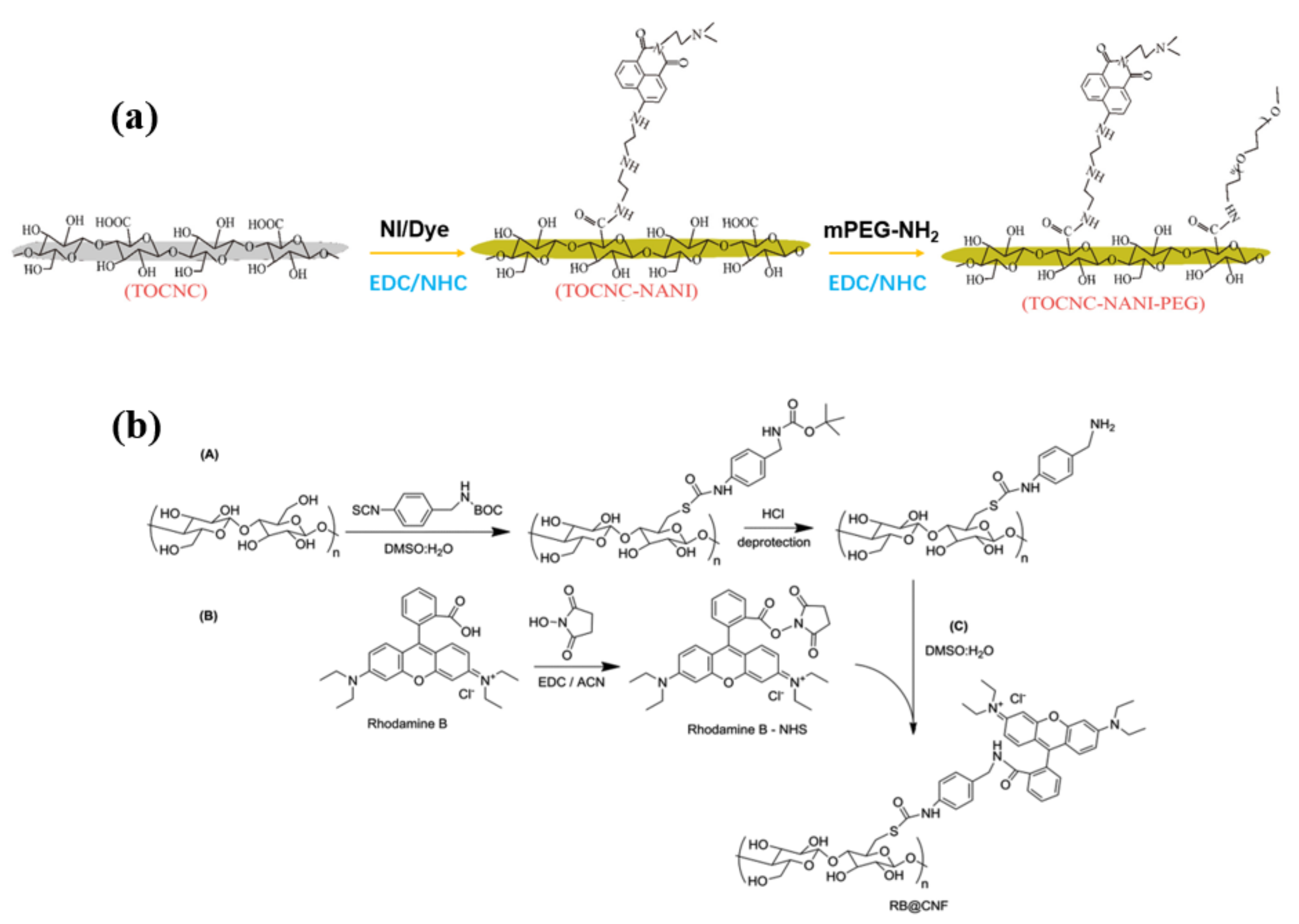 Polymers 13 03247 g017 Polymers 13 03247 g017