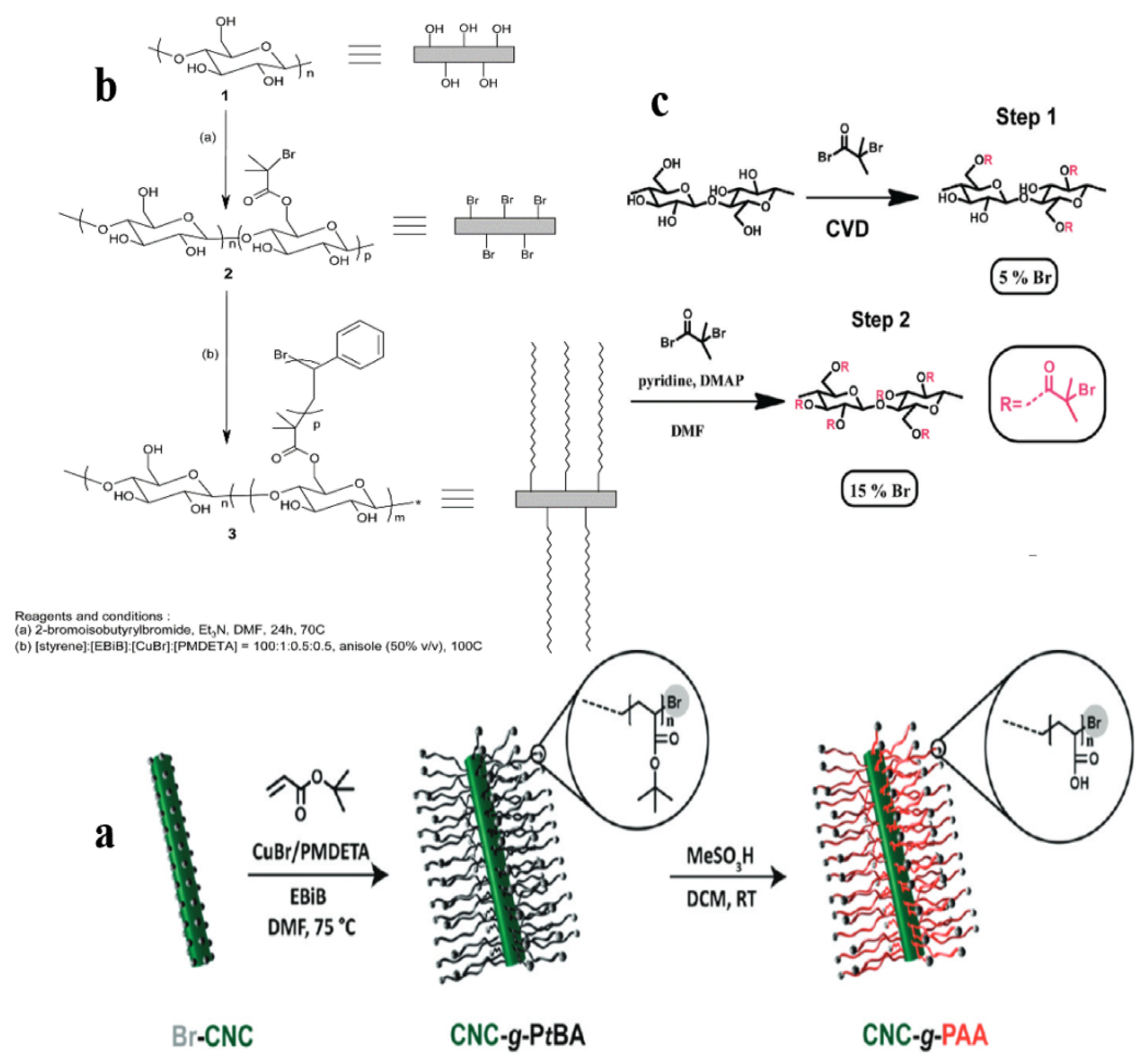 Polymers 13 03247 g023 Polymers 13 03247 g023