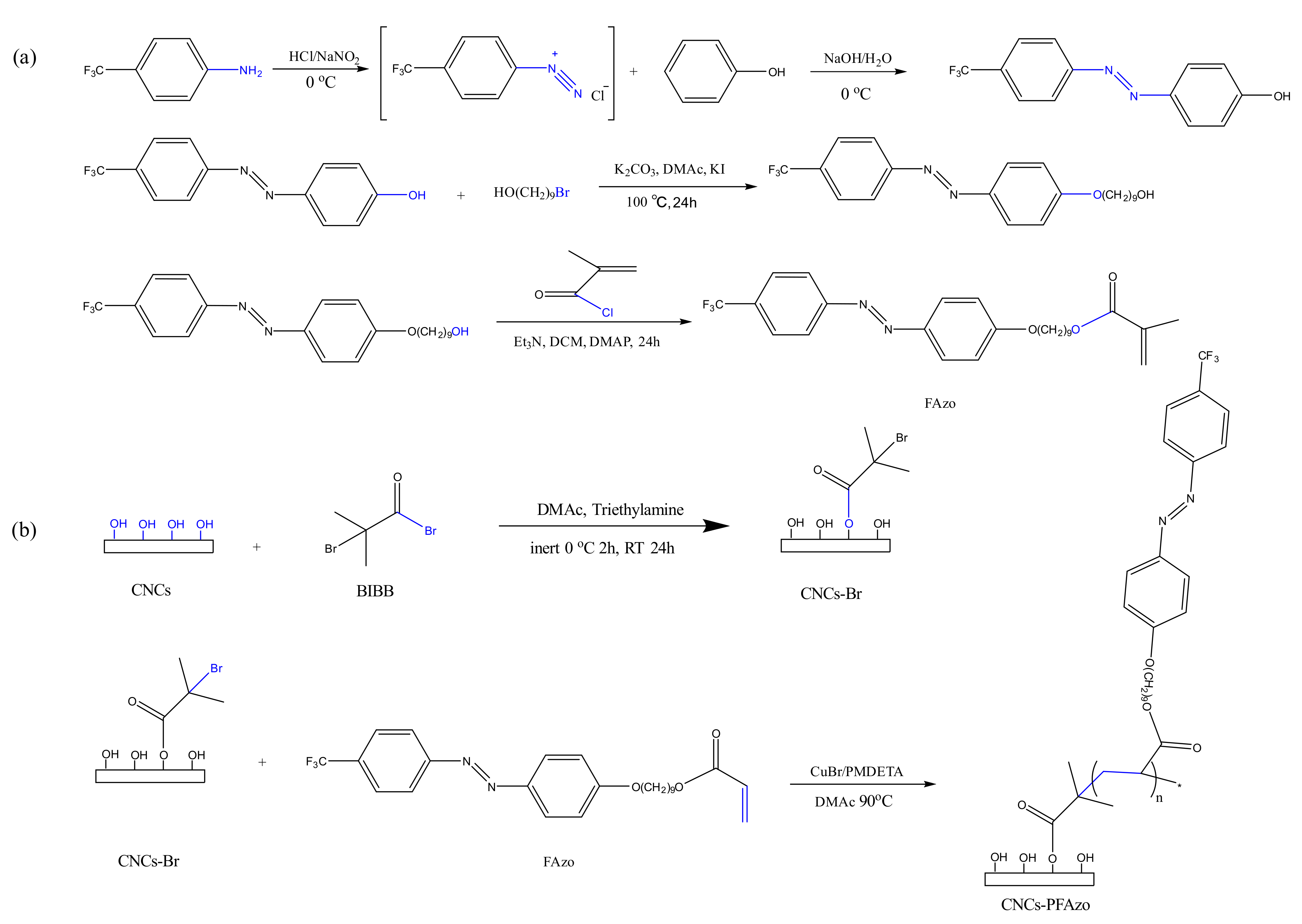Polymers 13 03247 g024 Polymers 13 03247 g024