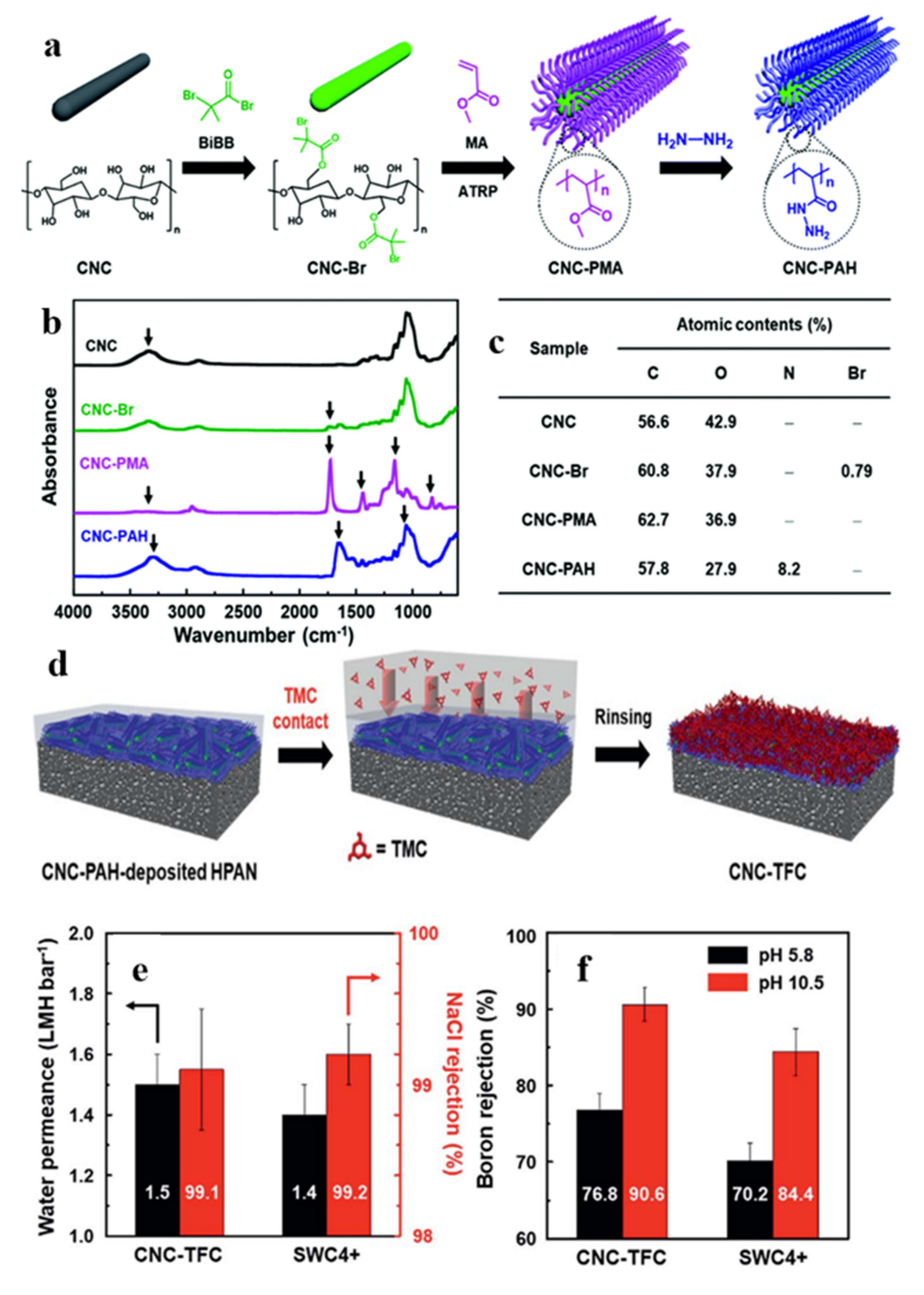 Polymers 13 03247 g026 Polymers 13 03247 g026