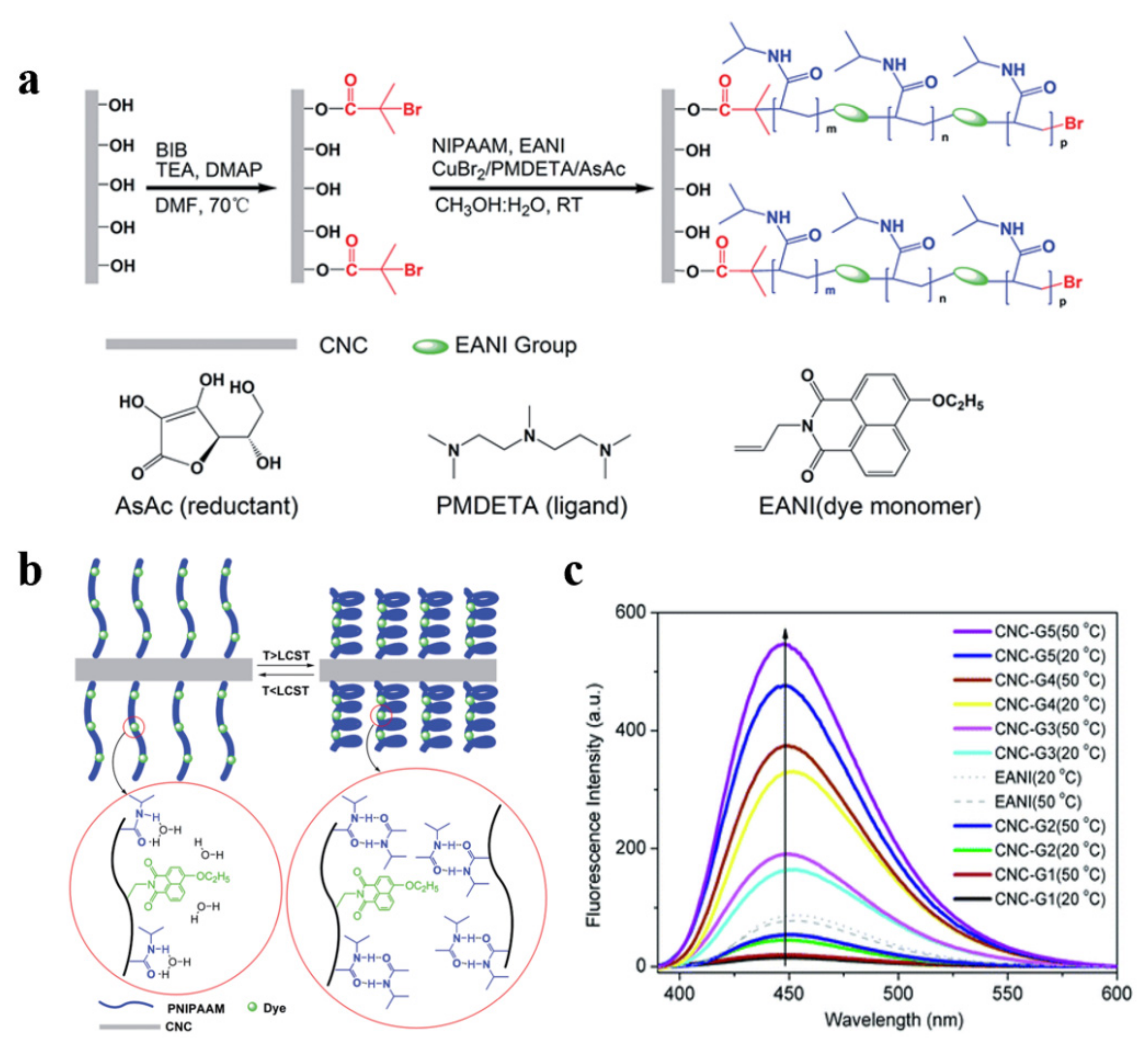 Polymers 13 03247 g028 Polymers 13 03247 g028