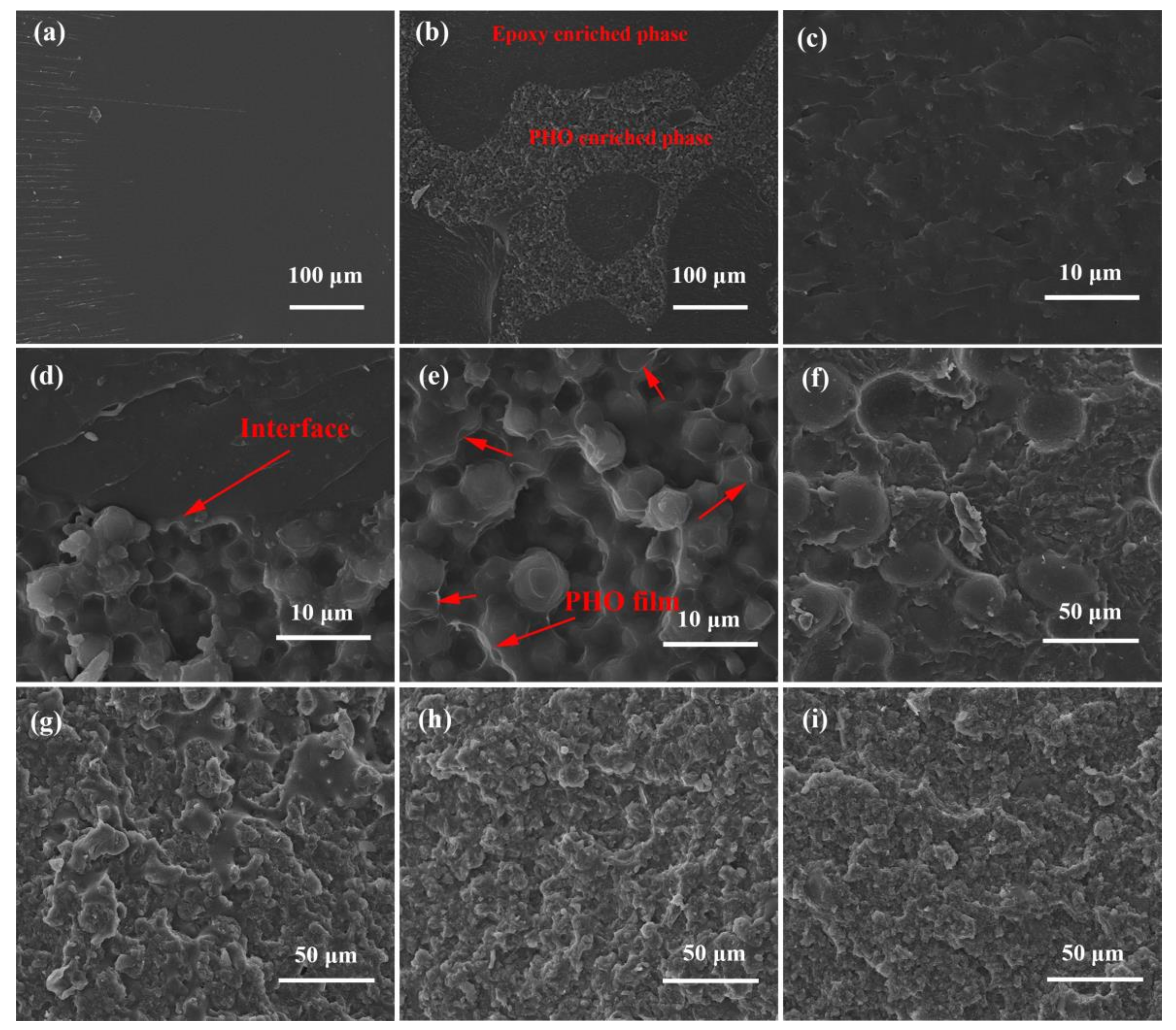 Polymers 13 03253 g005