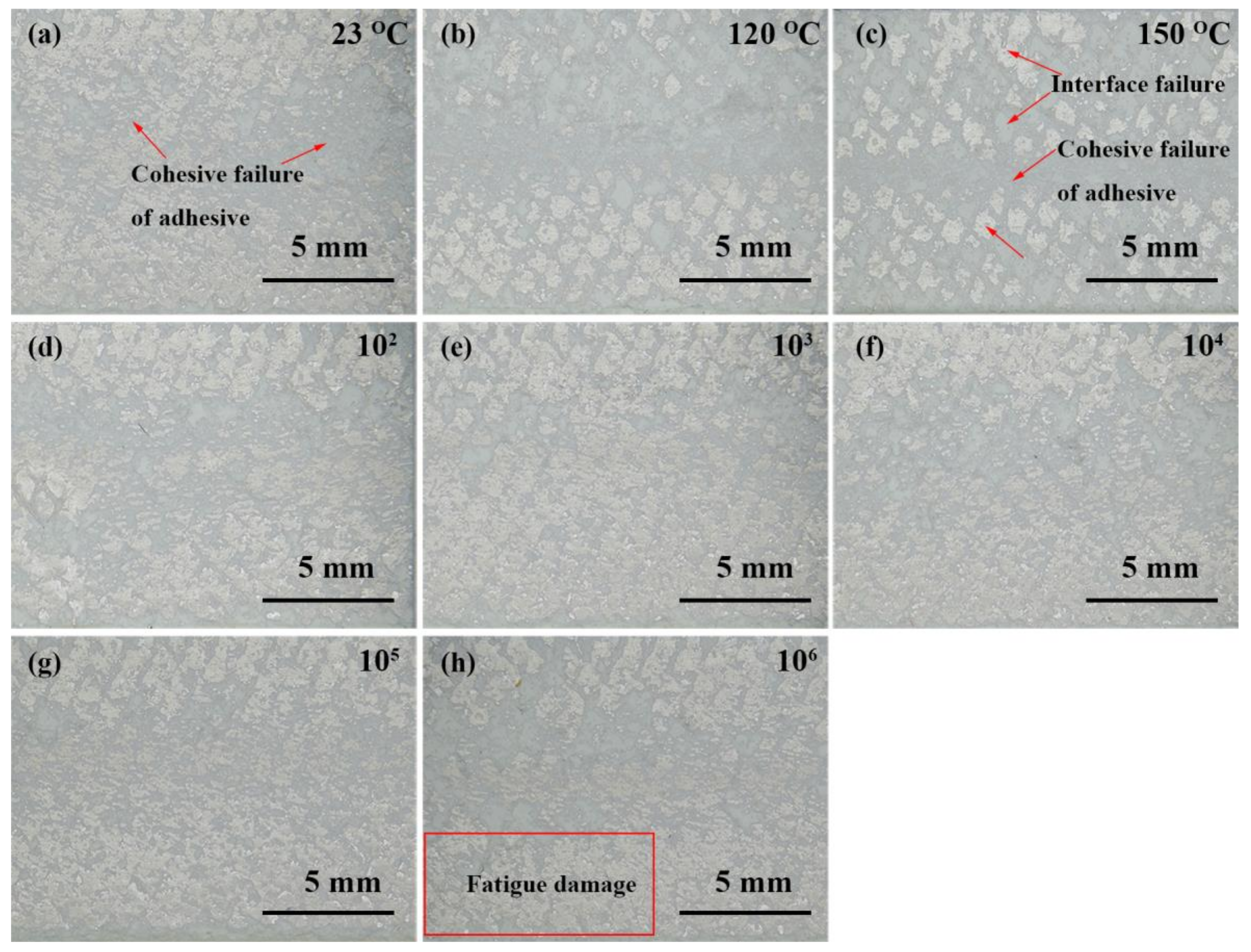 Polymers 13 03253 g010