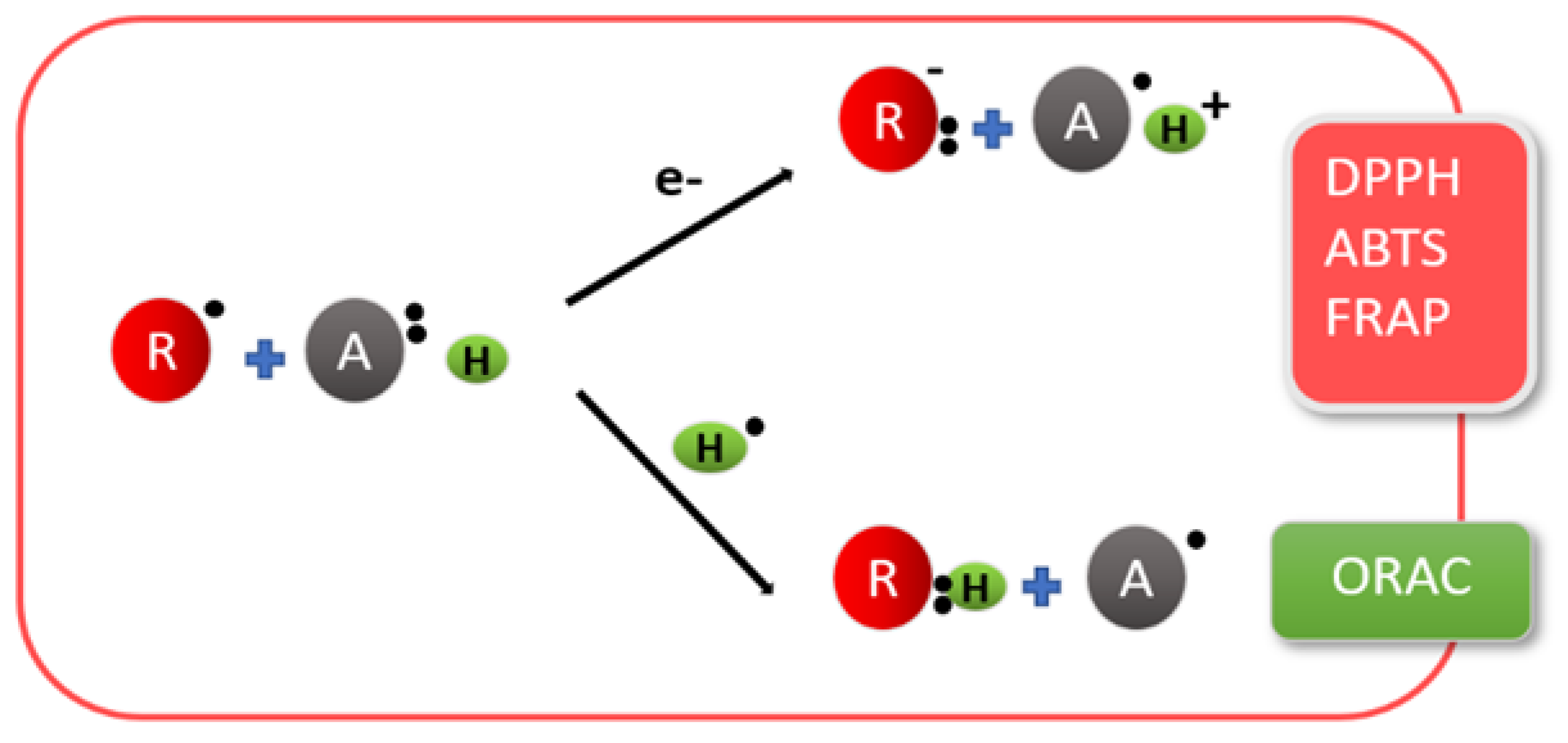 Polymers 13 03256 g003