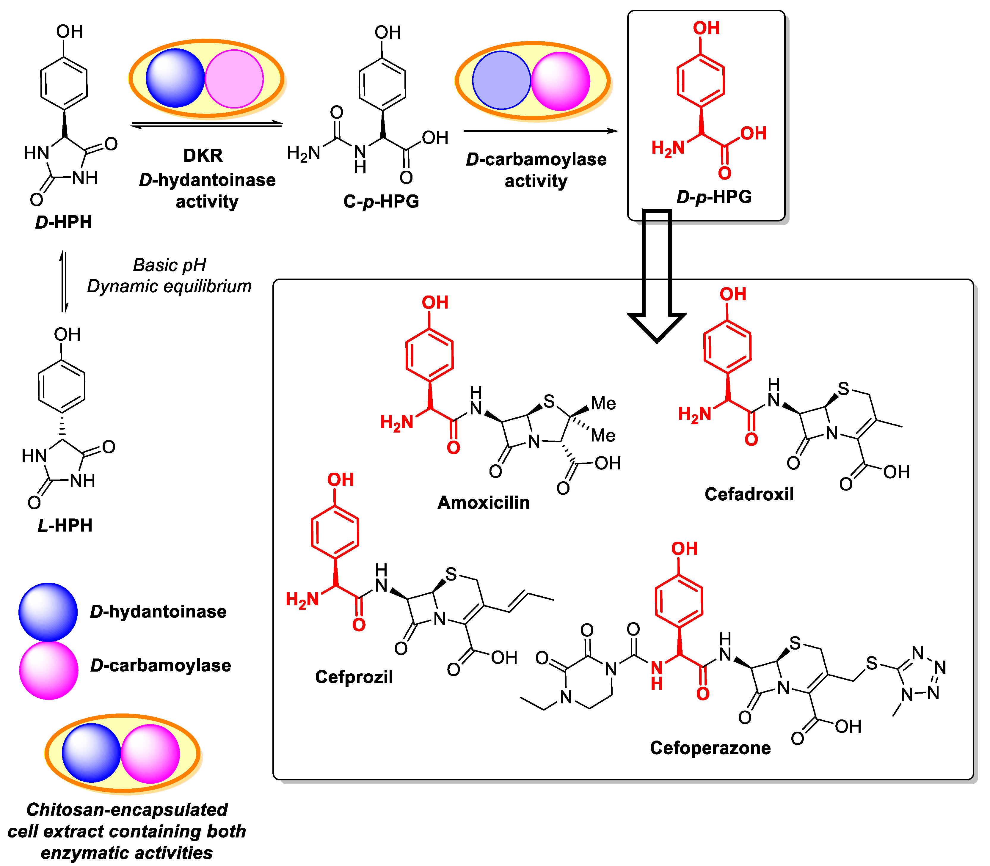 Polymers 13 03256 g006
