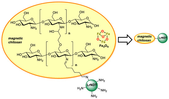 Chitosan: An Overview of Its Properties and Applications