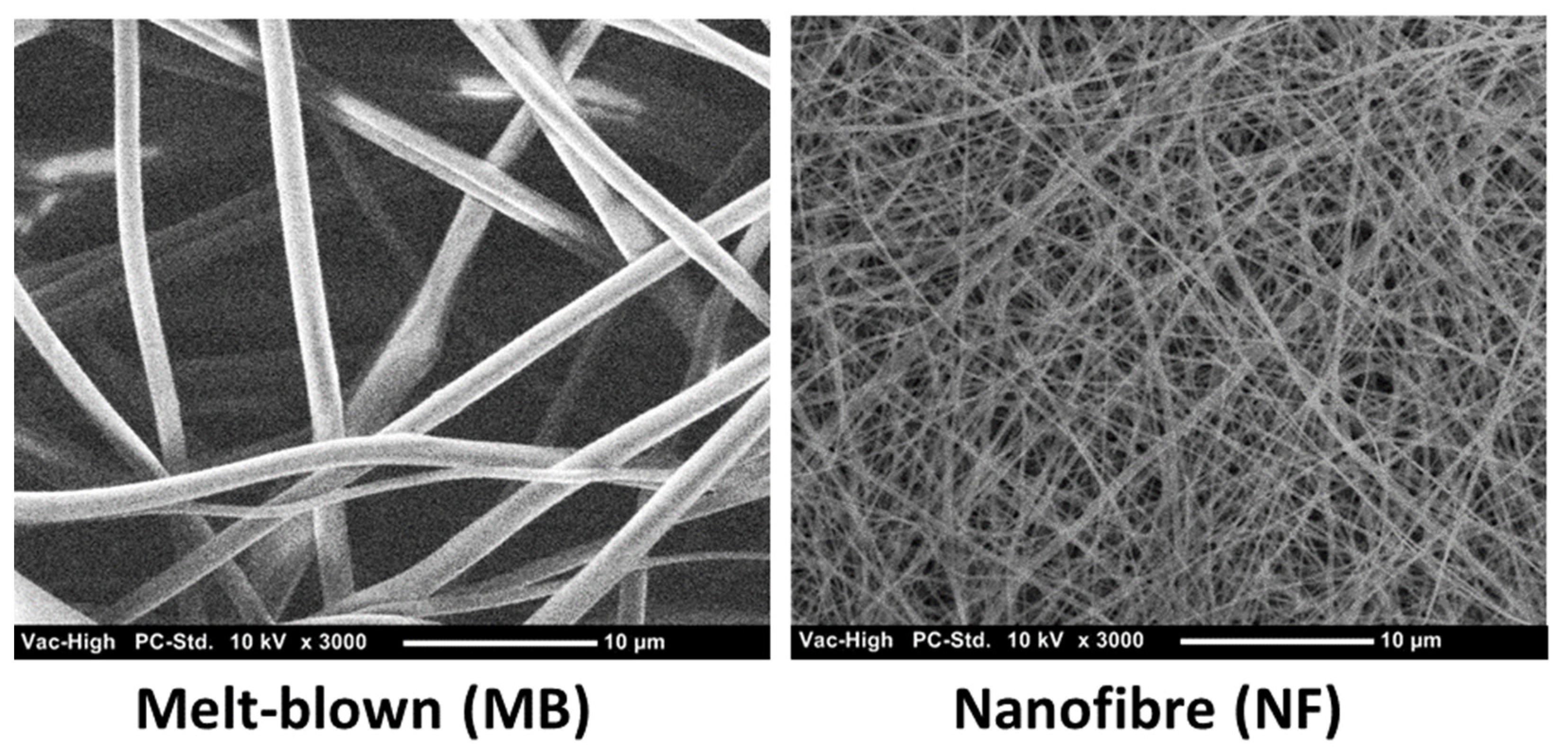 Polymers 13 03257 g001