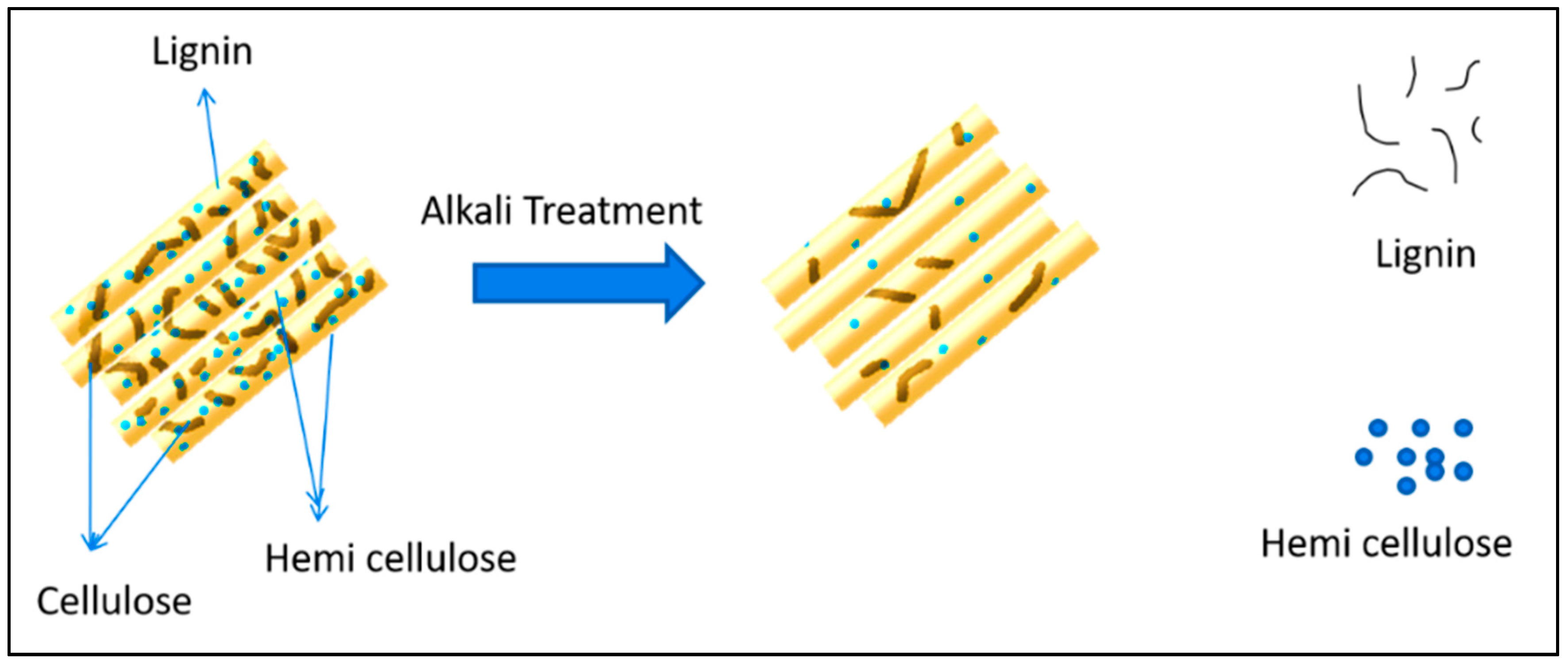 Polymers 13 03260 g002 550