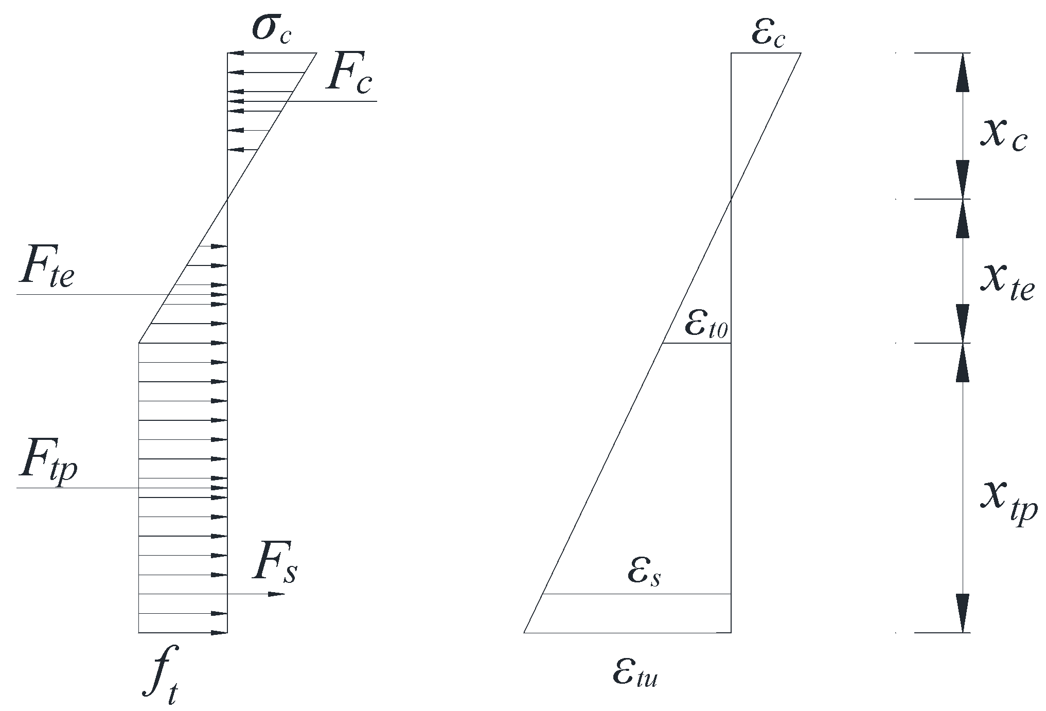 Polymers 13 03261 g005