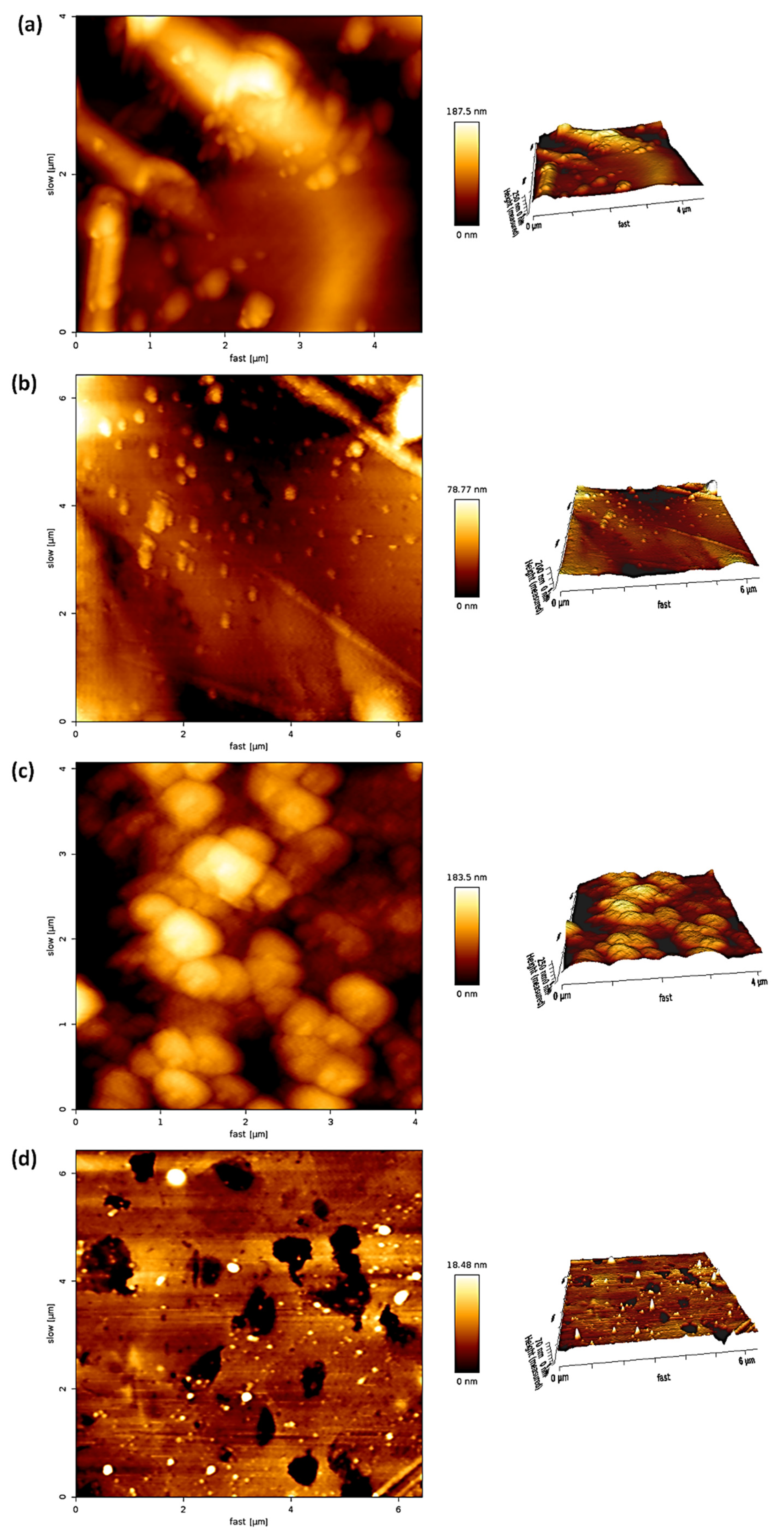 Polymers 13 03264 g008