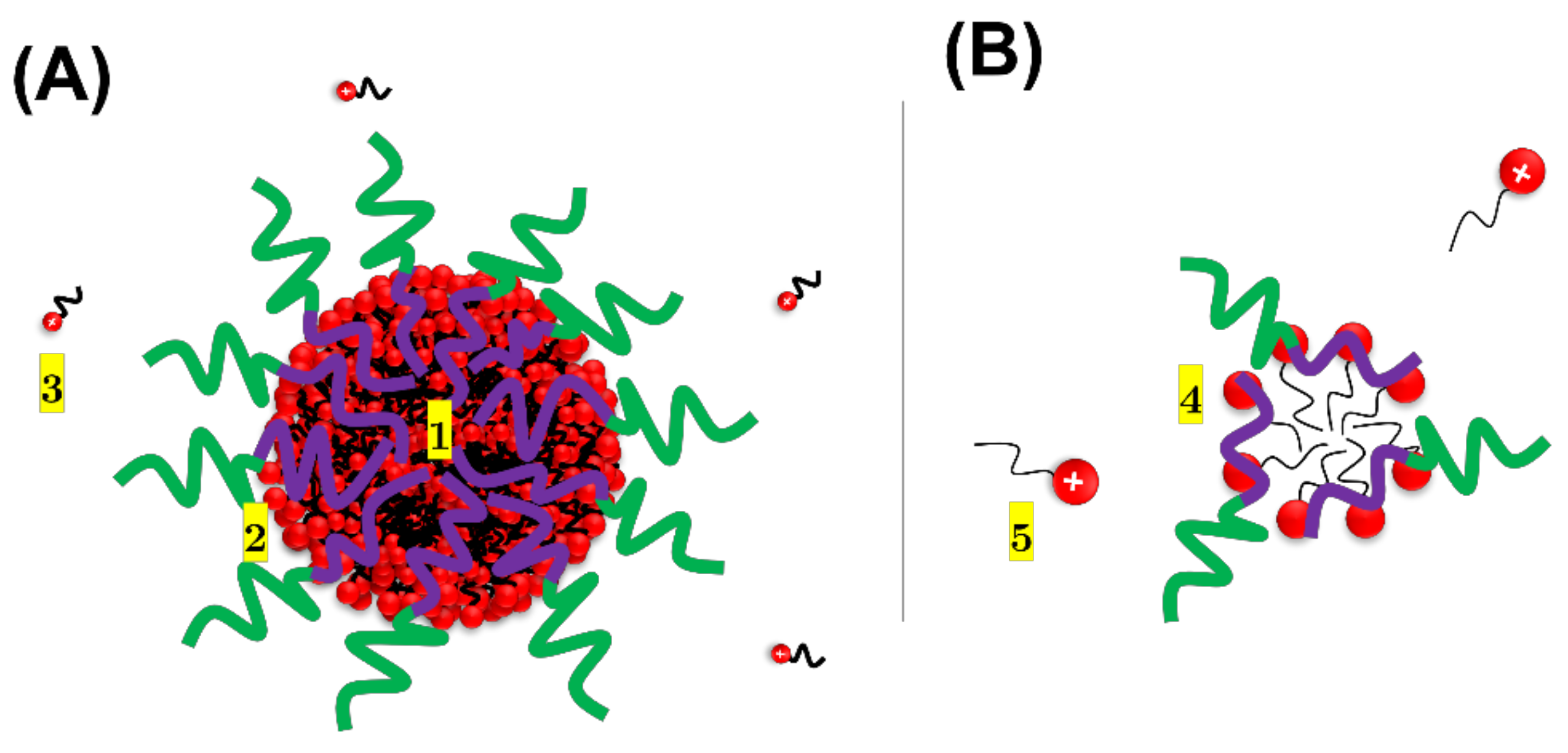 Polymers 13 03265 g006 Polymers 13 03265 g006