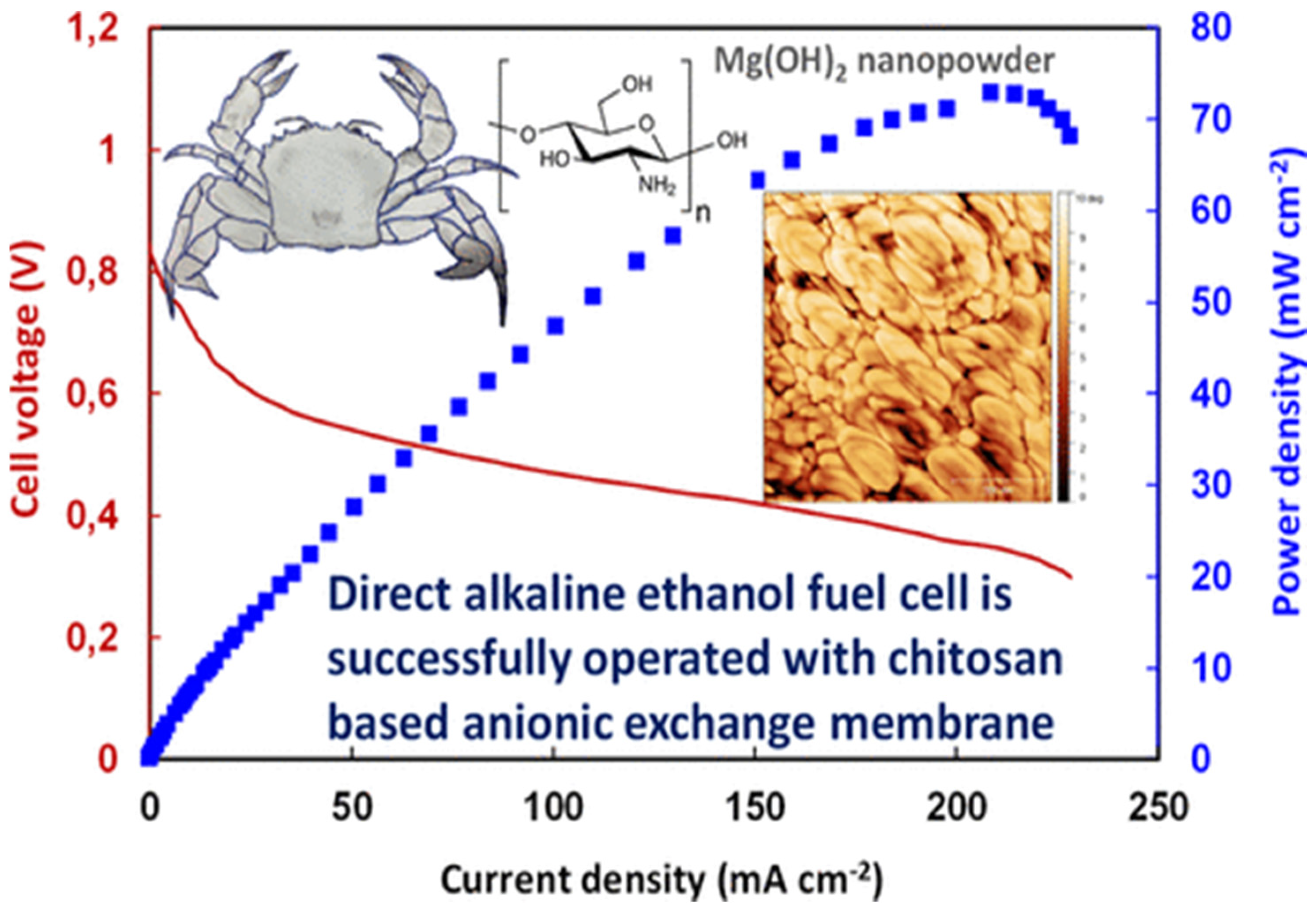 Polymers 13 03266 g010