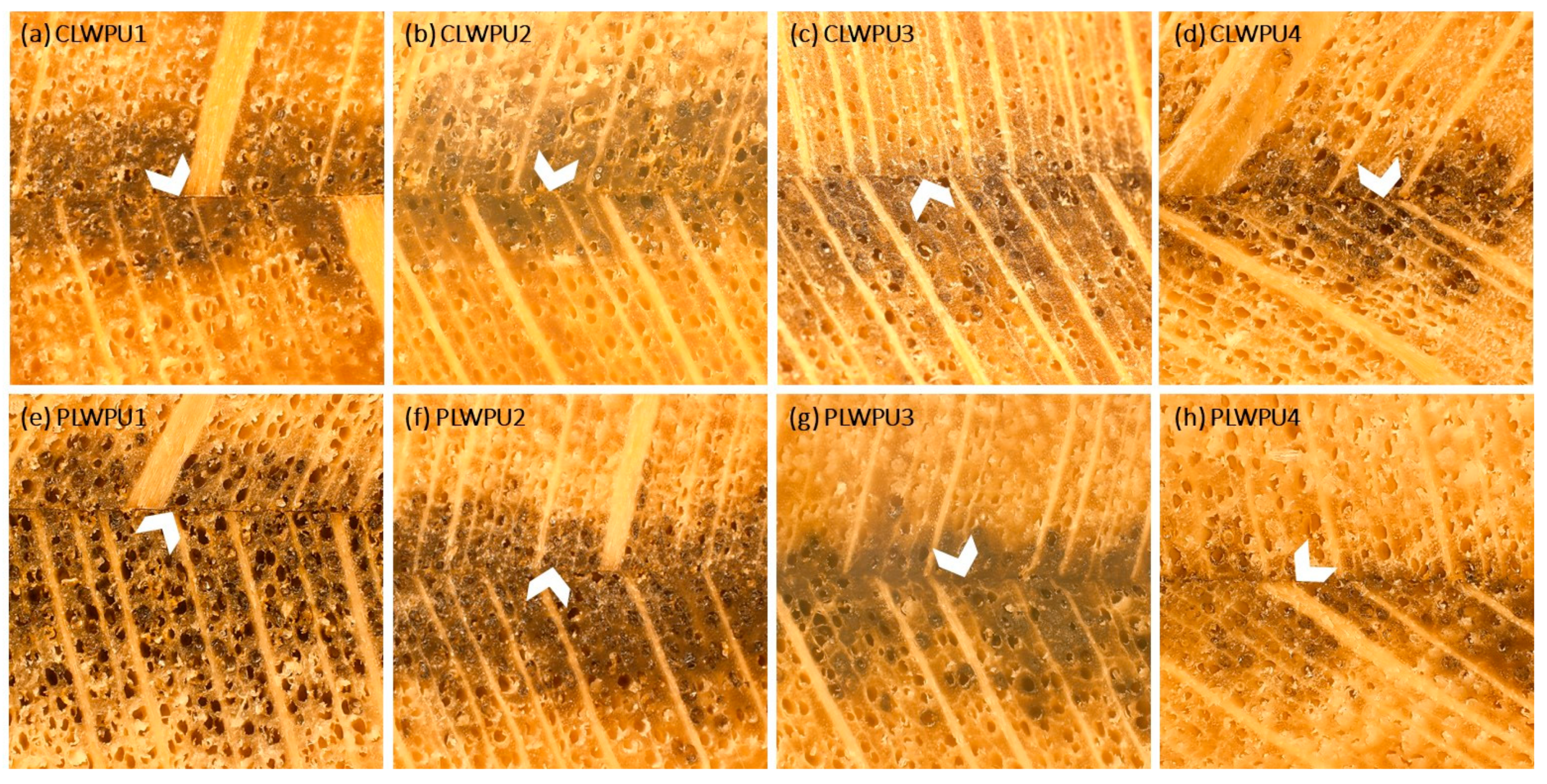 Polymers 13 03267 g006