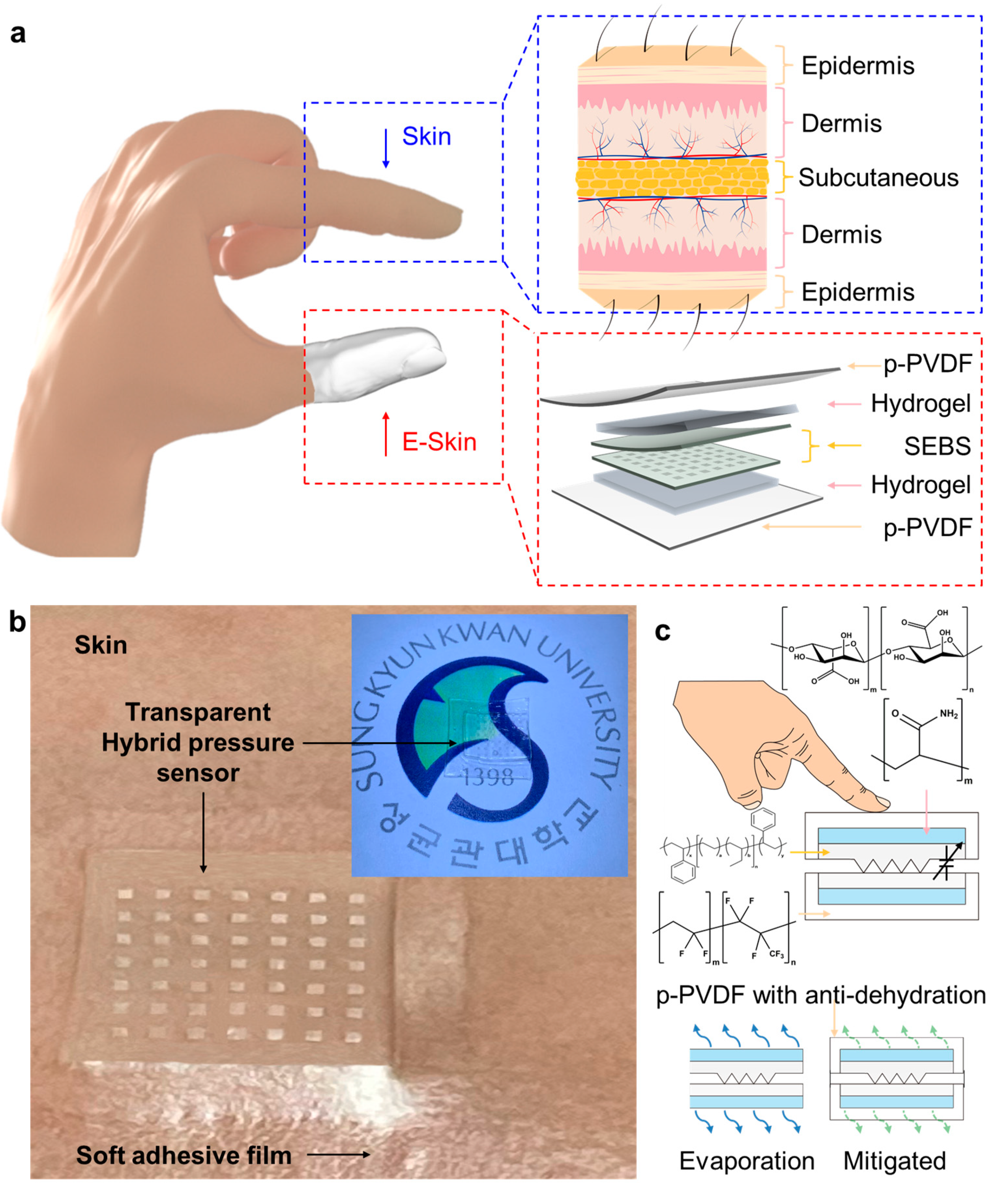 Polymers 13 03272 g001