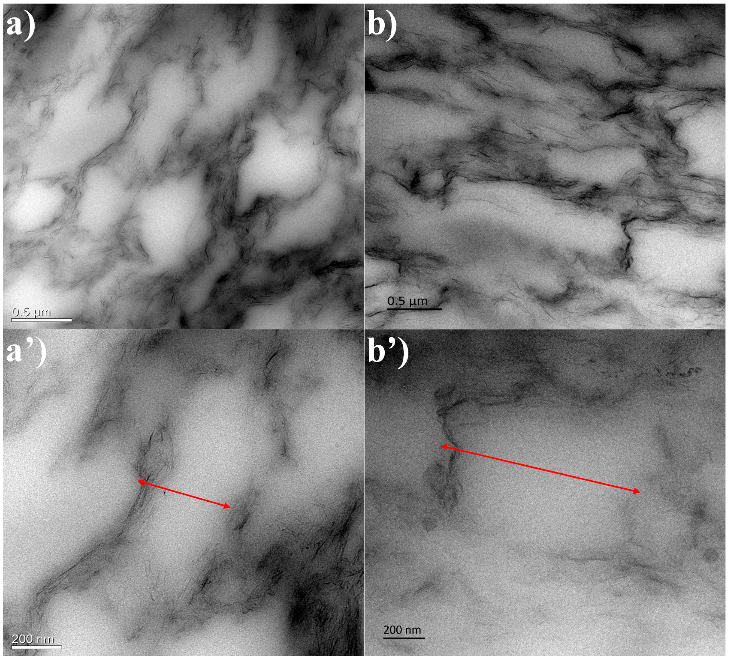Polymers 13 03277 g007 550