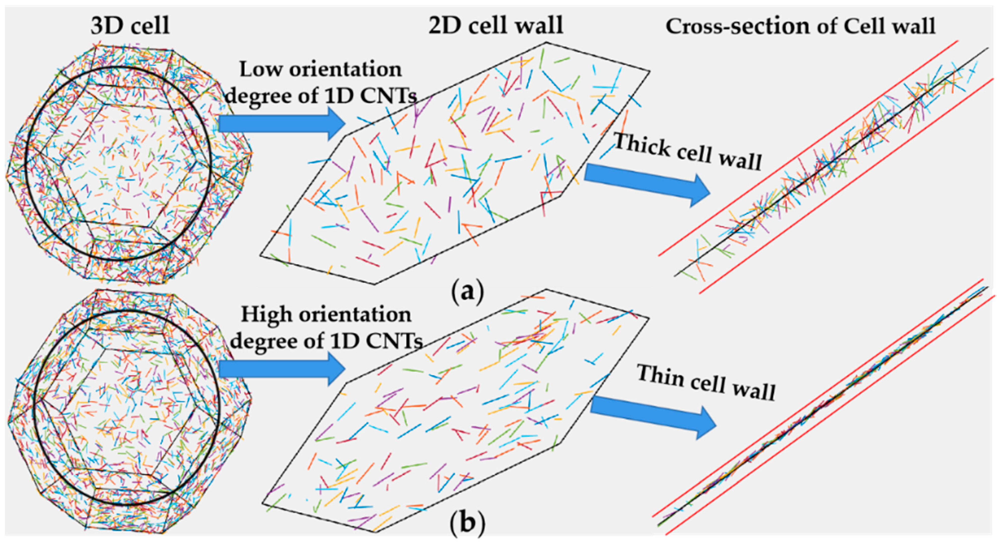 Polymers 13 03278 g005