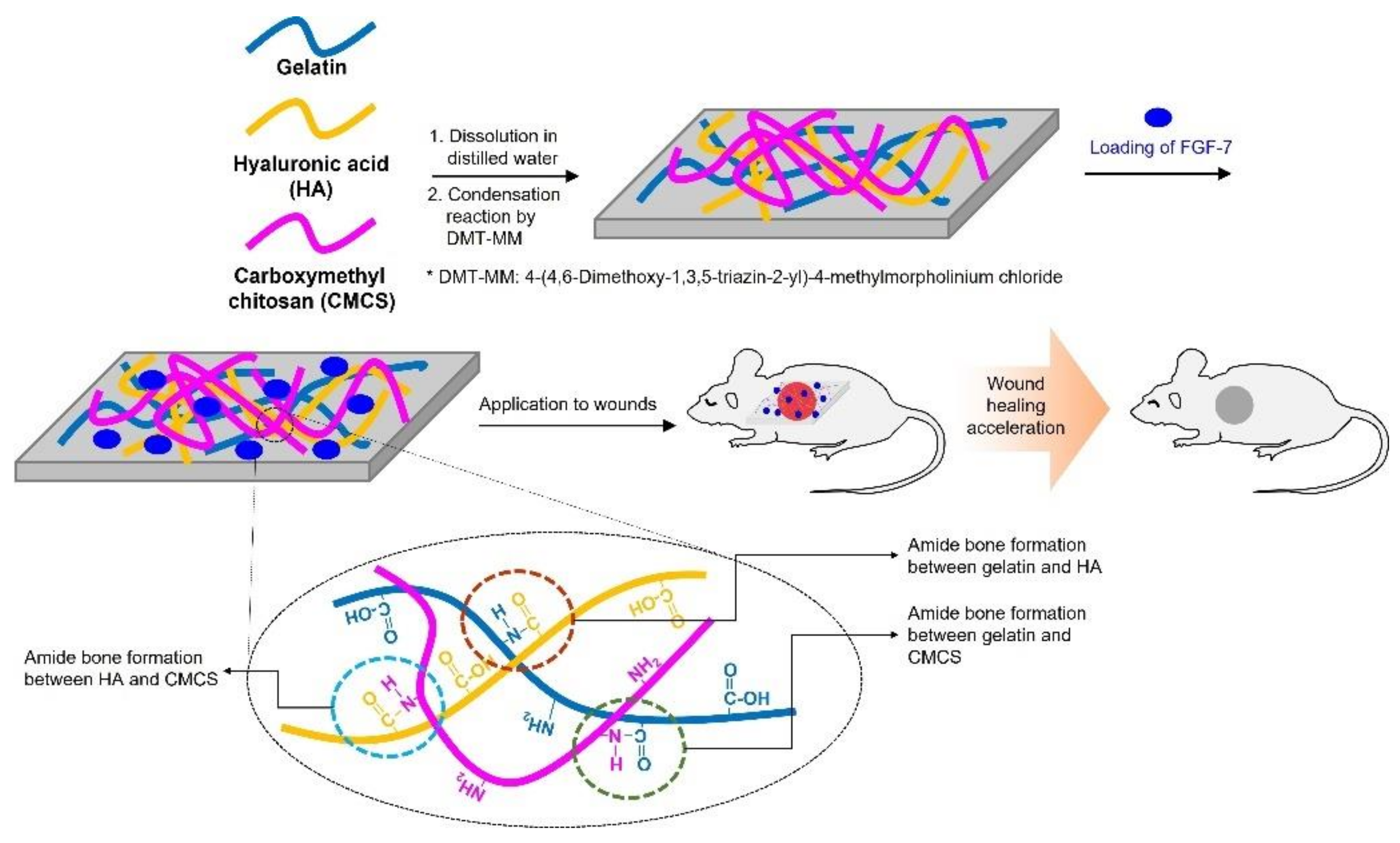 Polymers 13 03279 g001 550