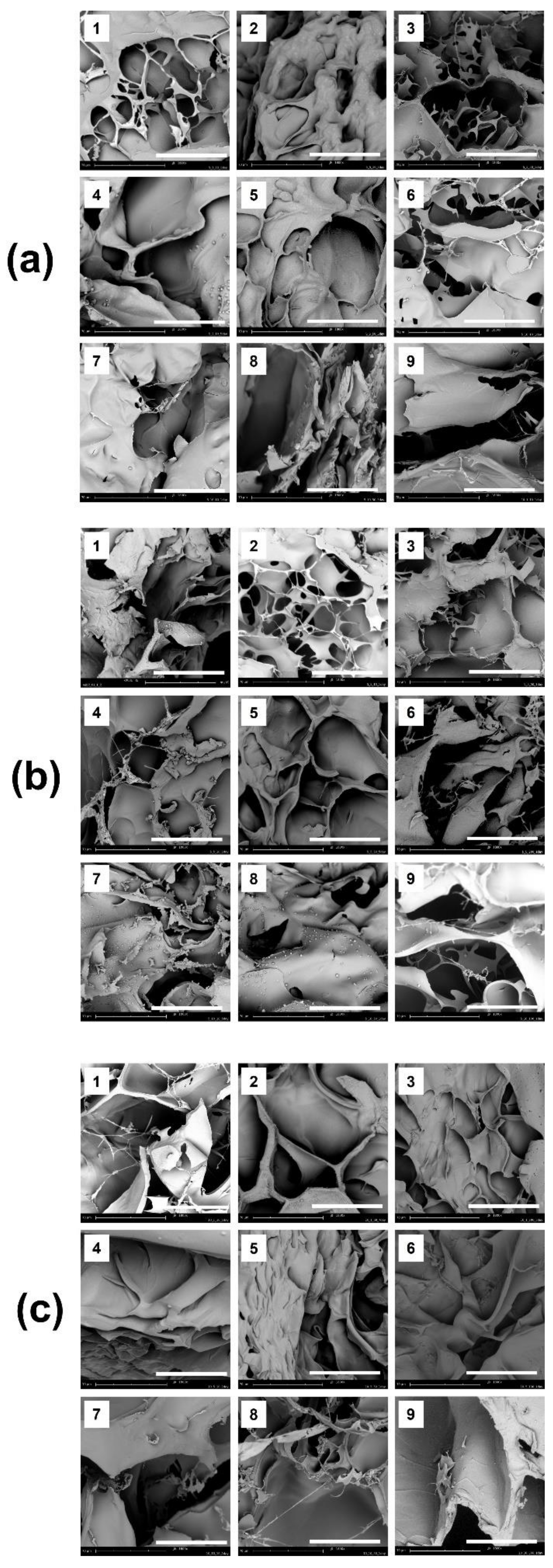 Polymers 13 03279 g002 550