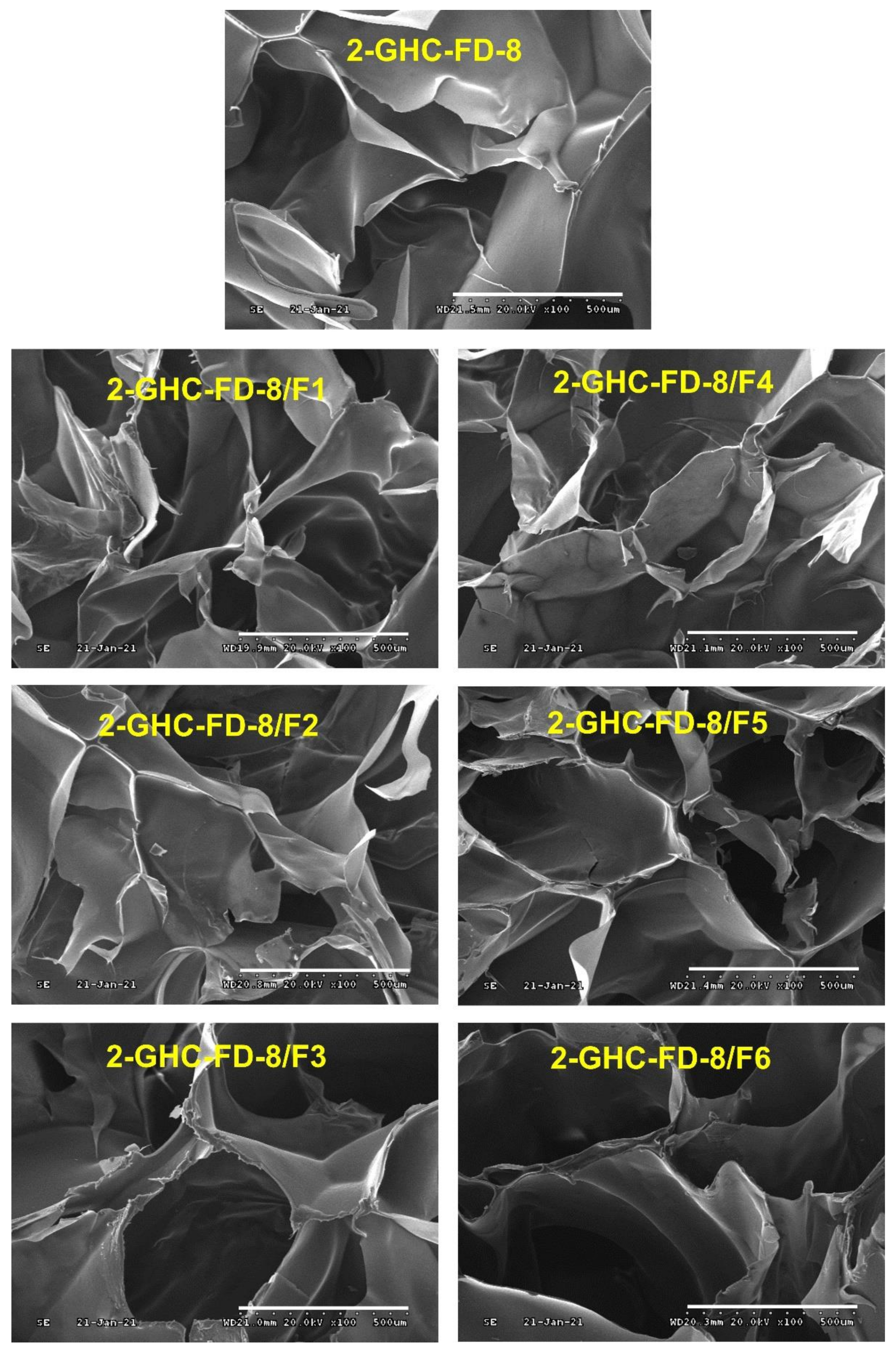 Polymers 13 03279 g007 550