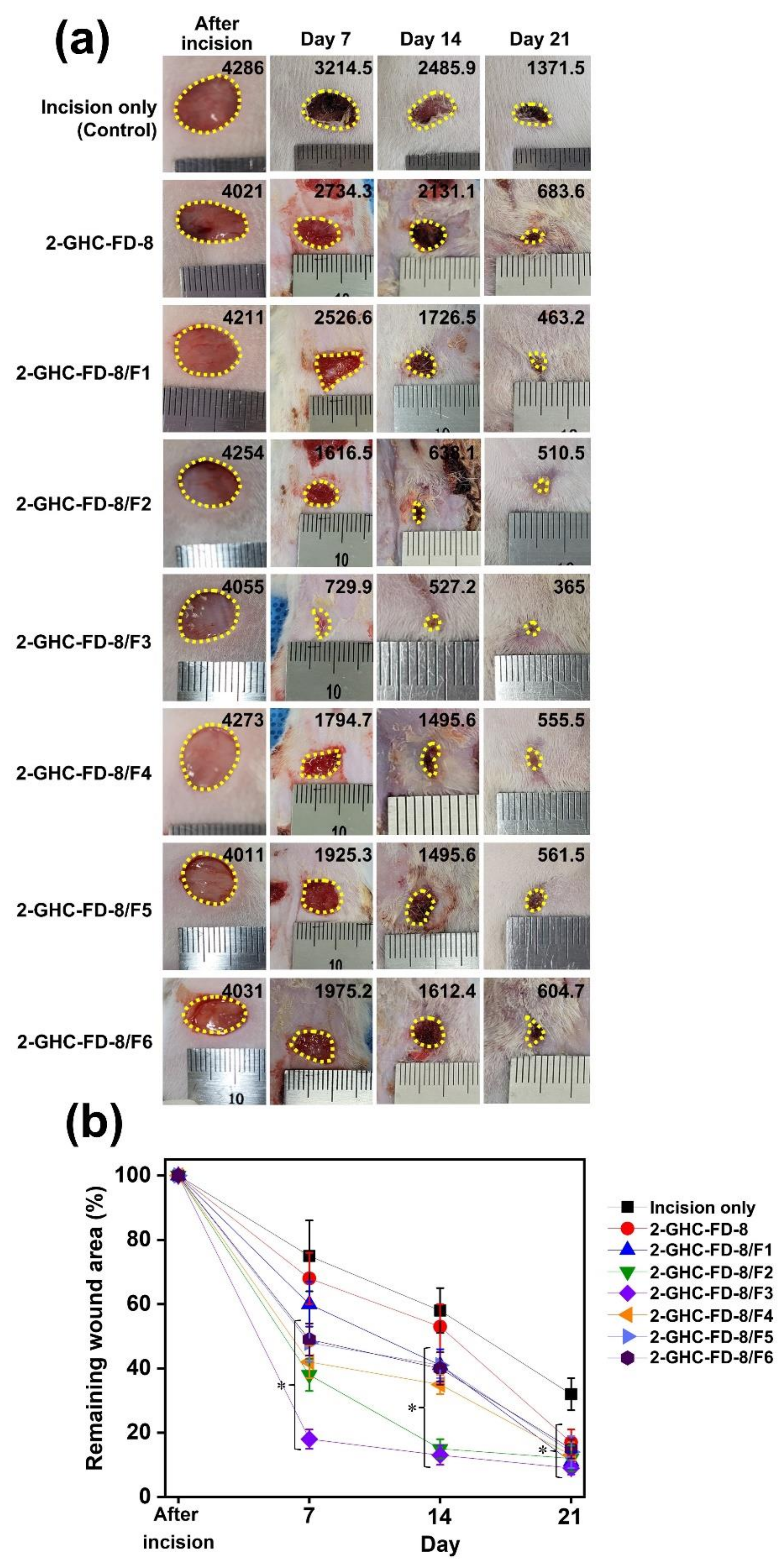 Polymers 13 03279 g010 550