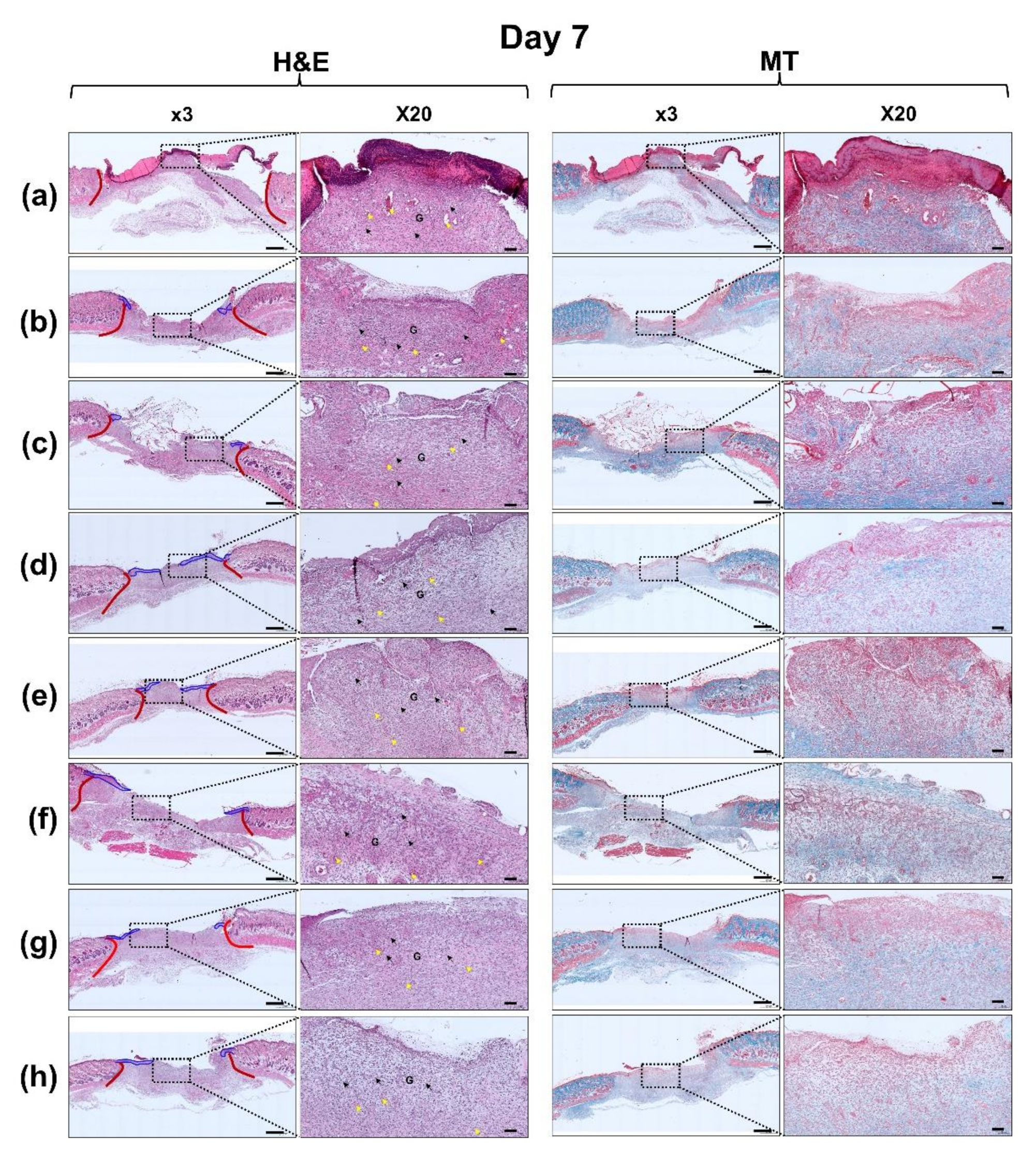 Polymers 13 03279 g011a 550