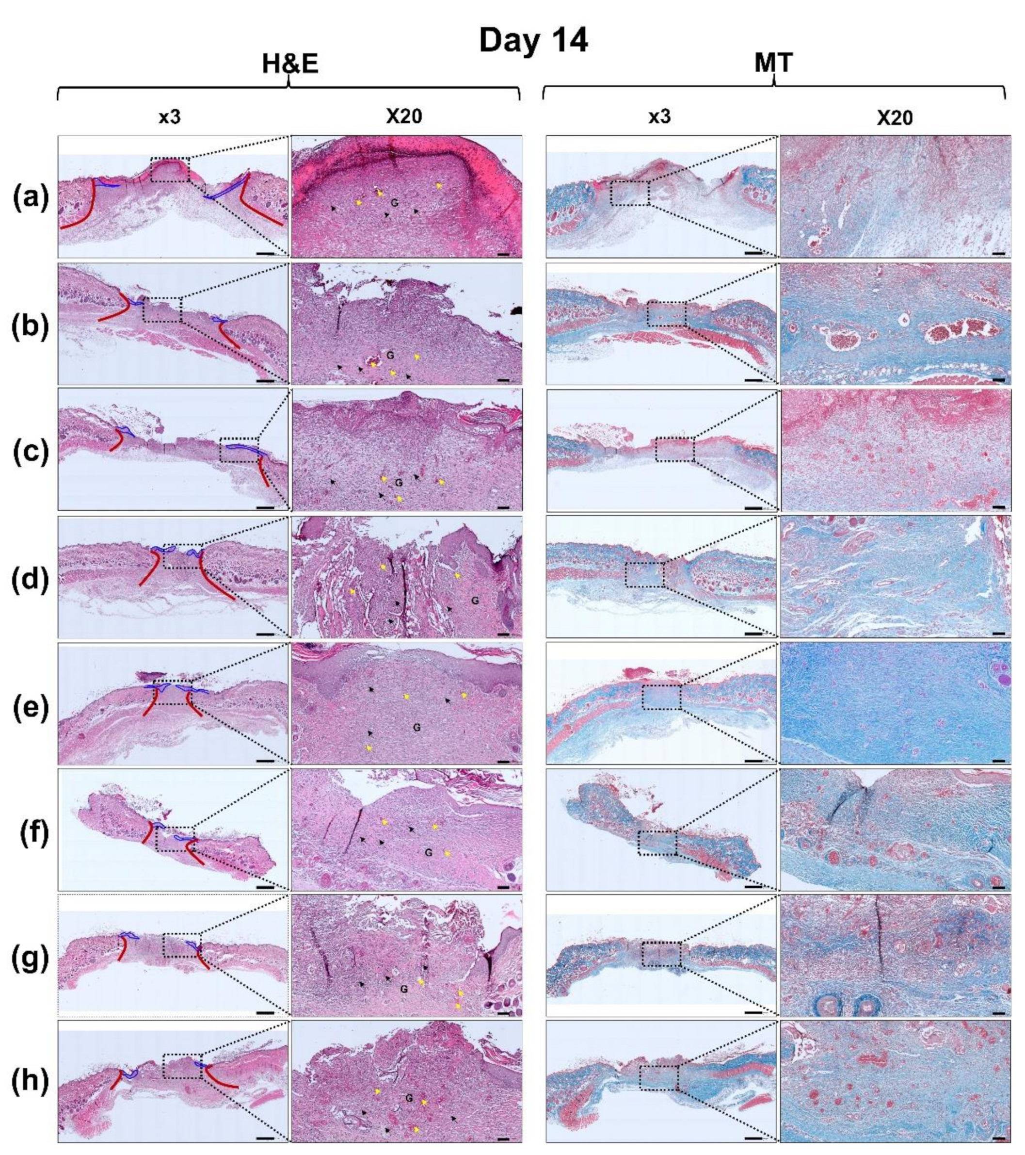Polymers 13 03279 g011b 550