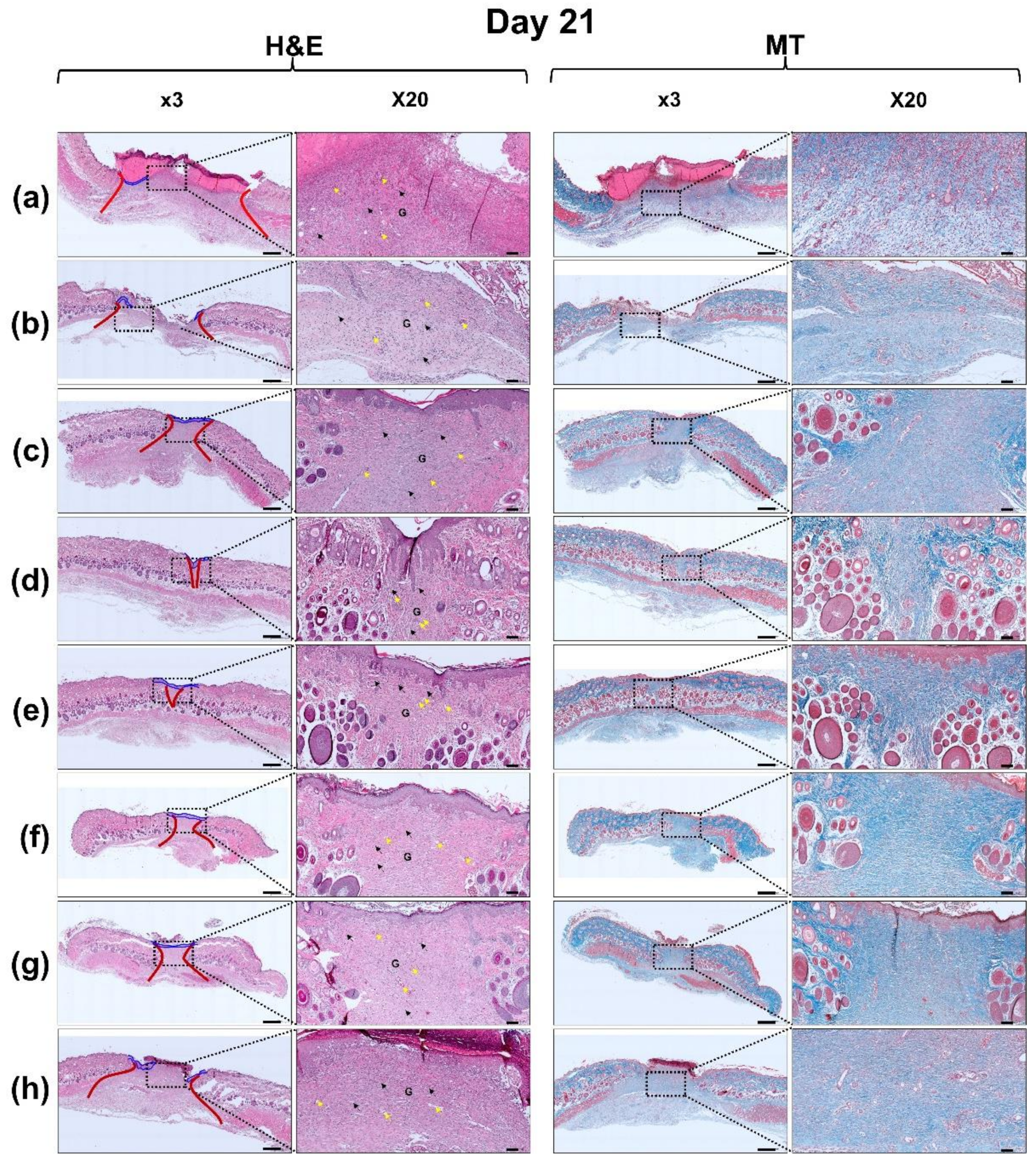 Polymers 13 03279 g011c 550