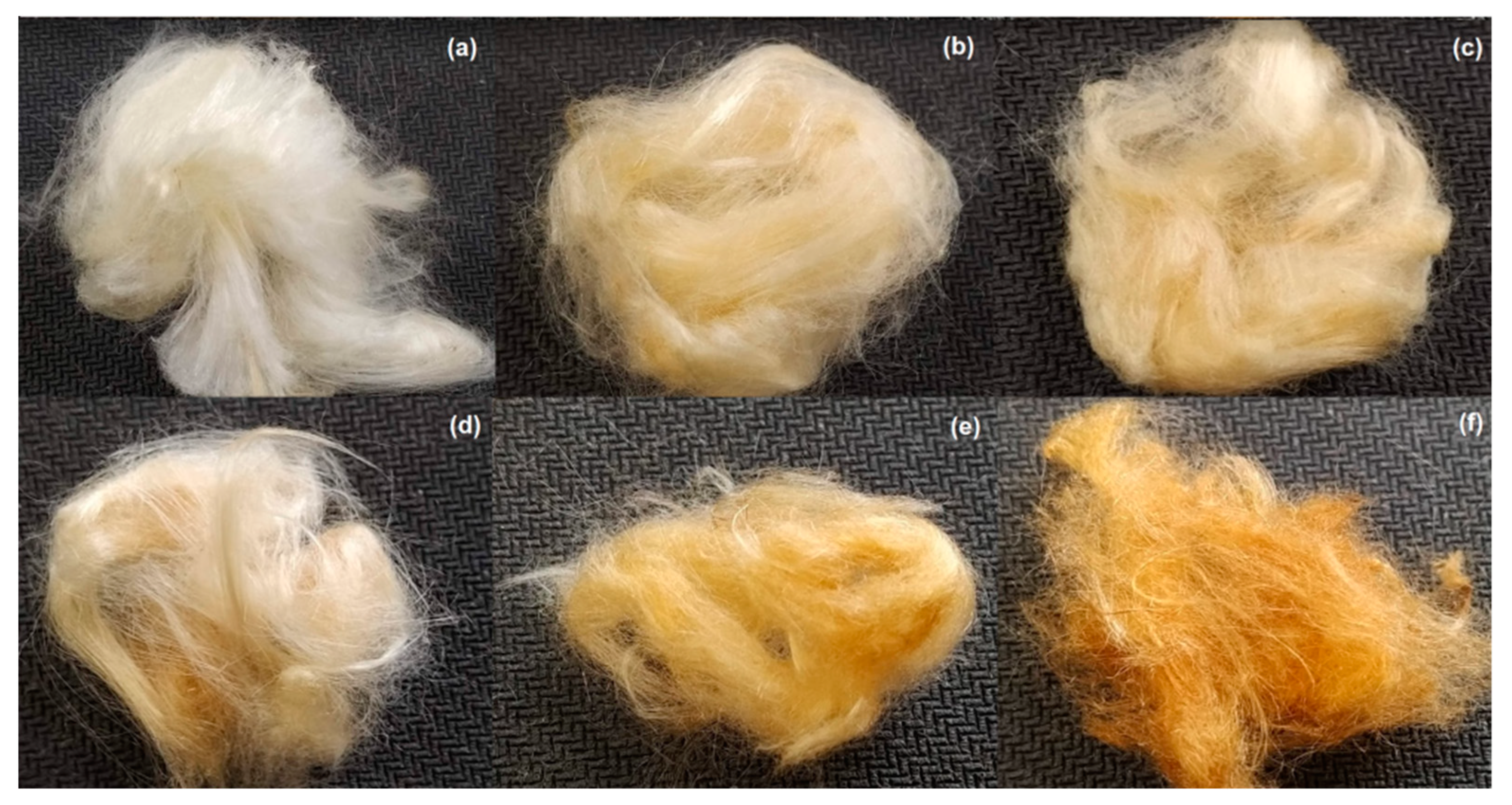 Polymers 13 03285 g002 Polymers 13 03285 g002