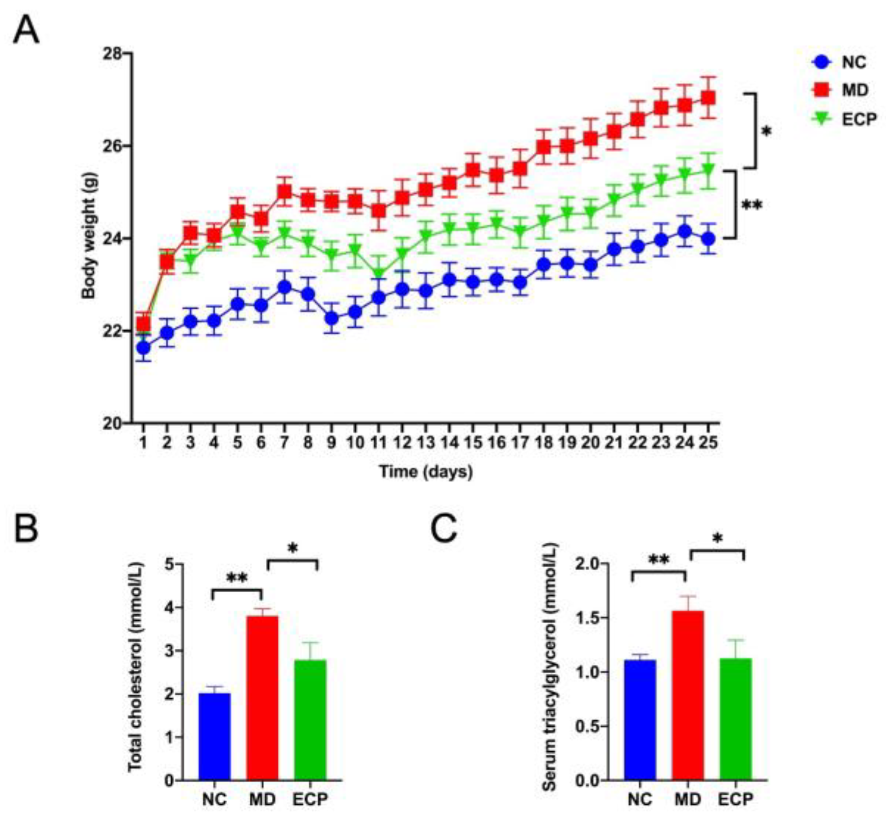 Polymers 13 03286 g001