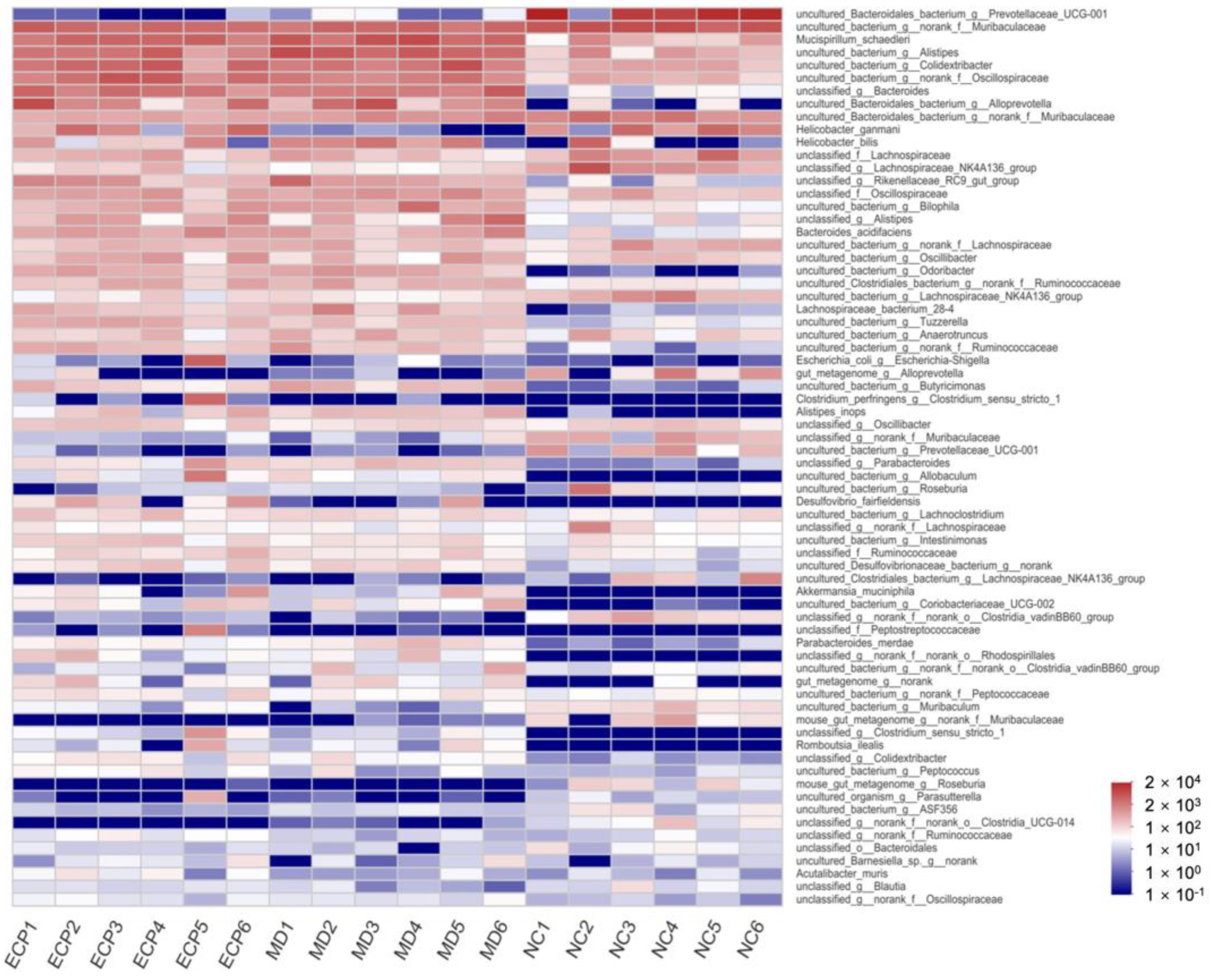 Polymers 13 03286 g004