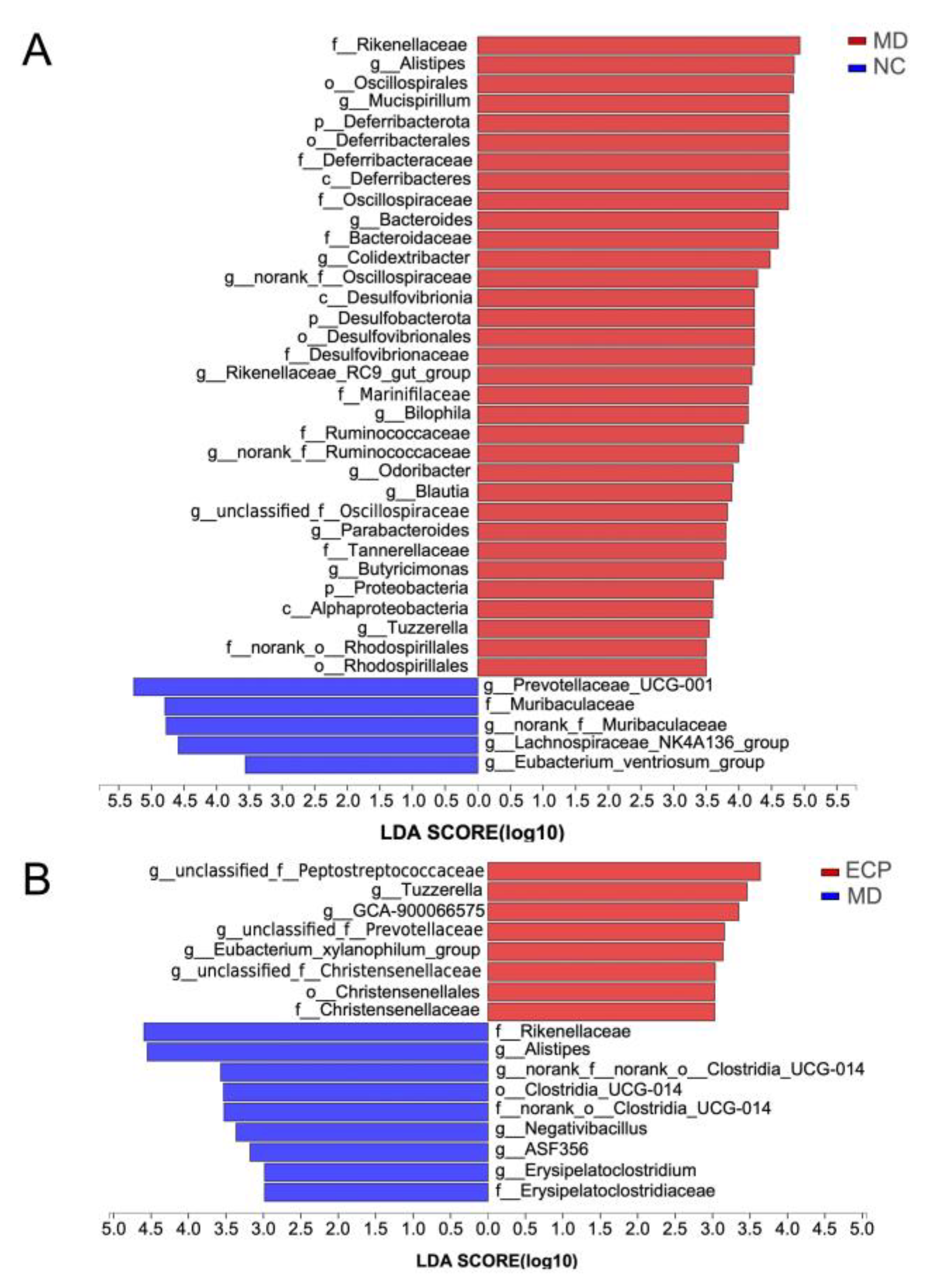 Polymers 13 03286 g005