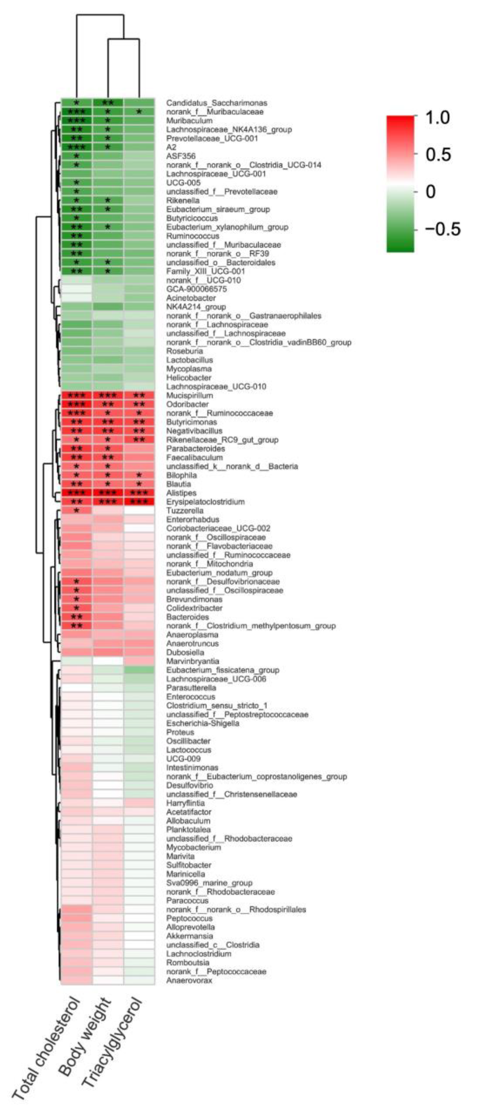 Polymers 13 03286 g006