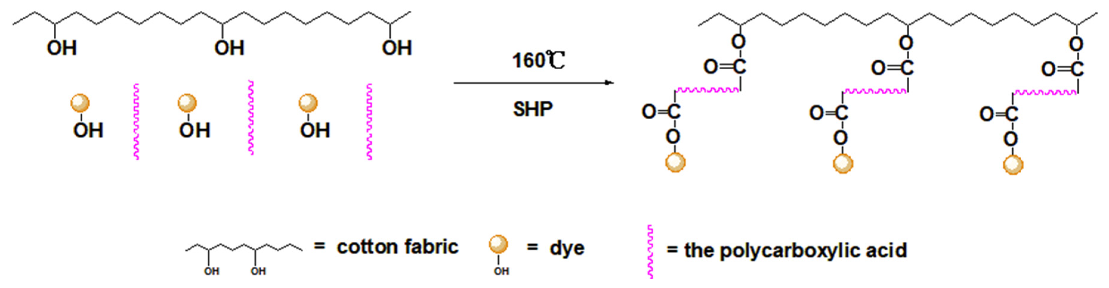 Polymers 13 03289 g003