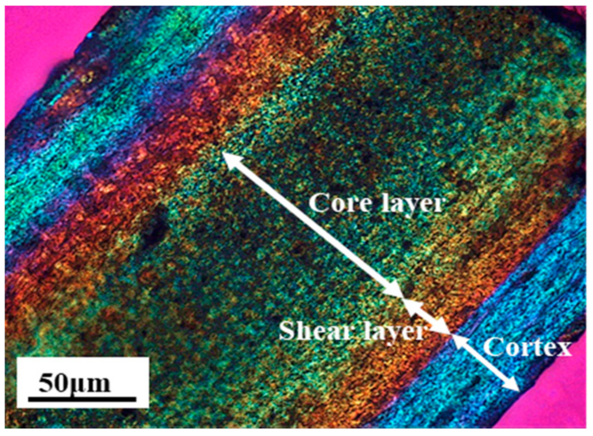 Polymers 13 03292 g006