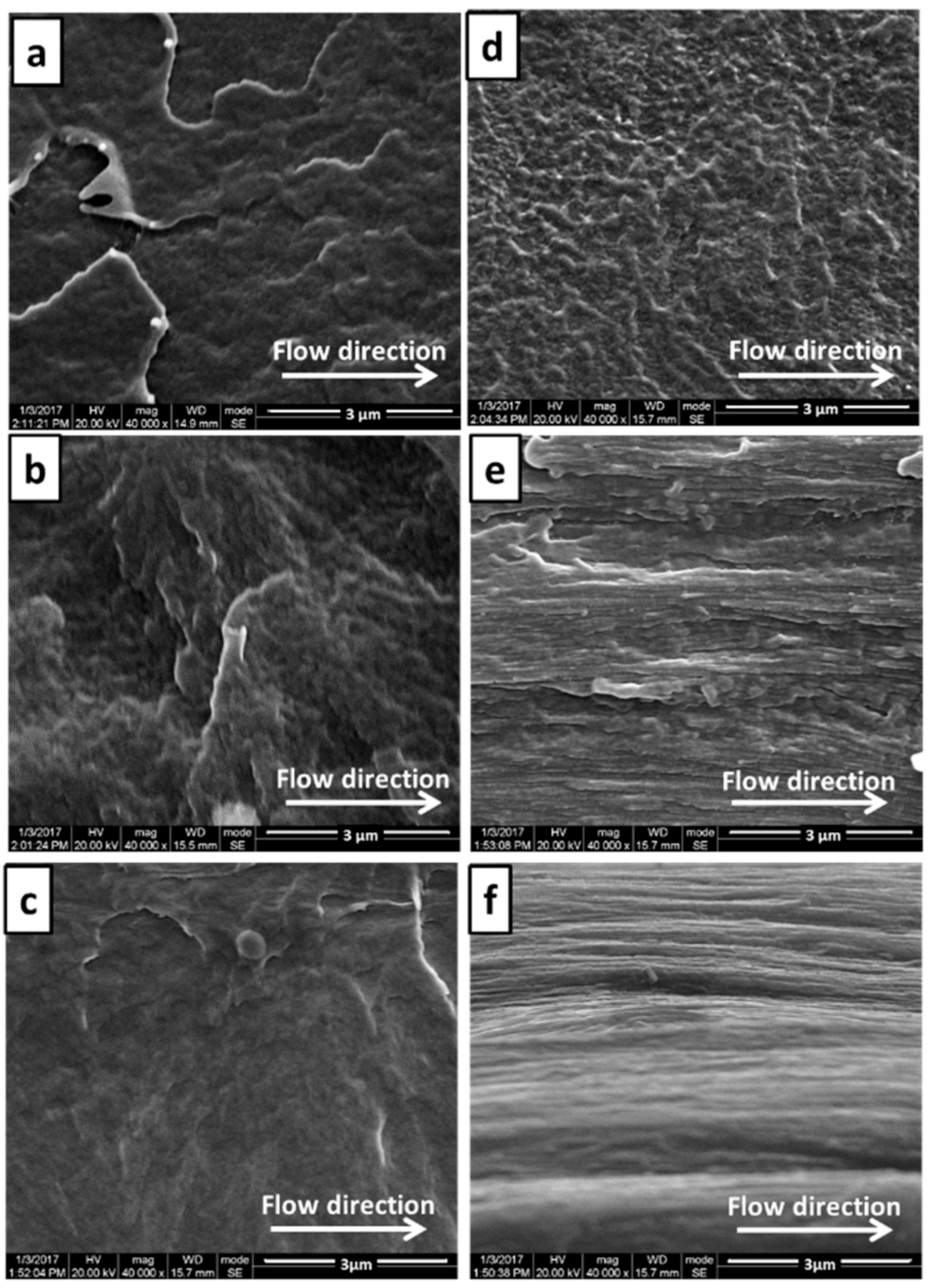 Polymers 13 03292 g007