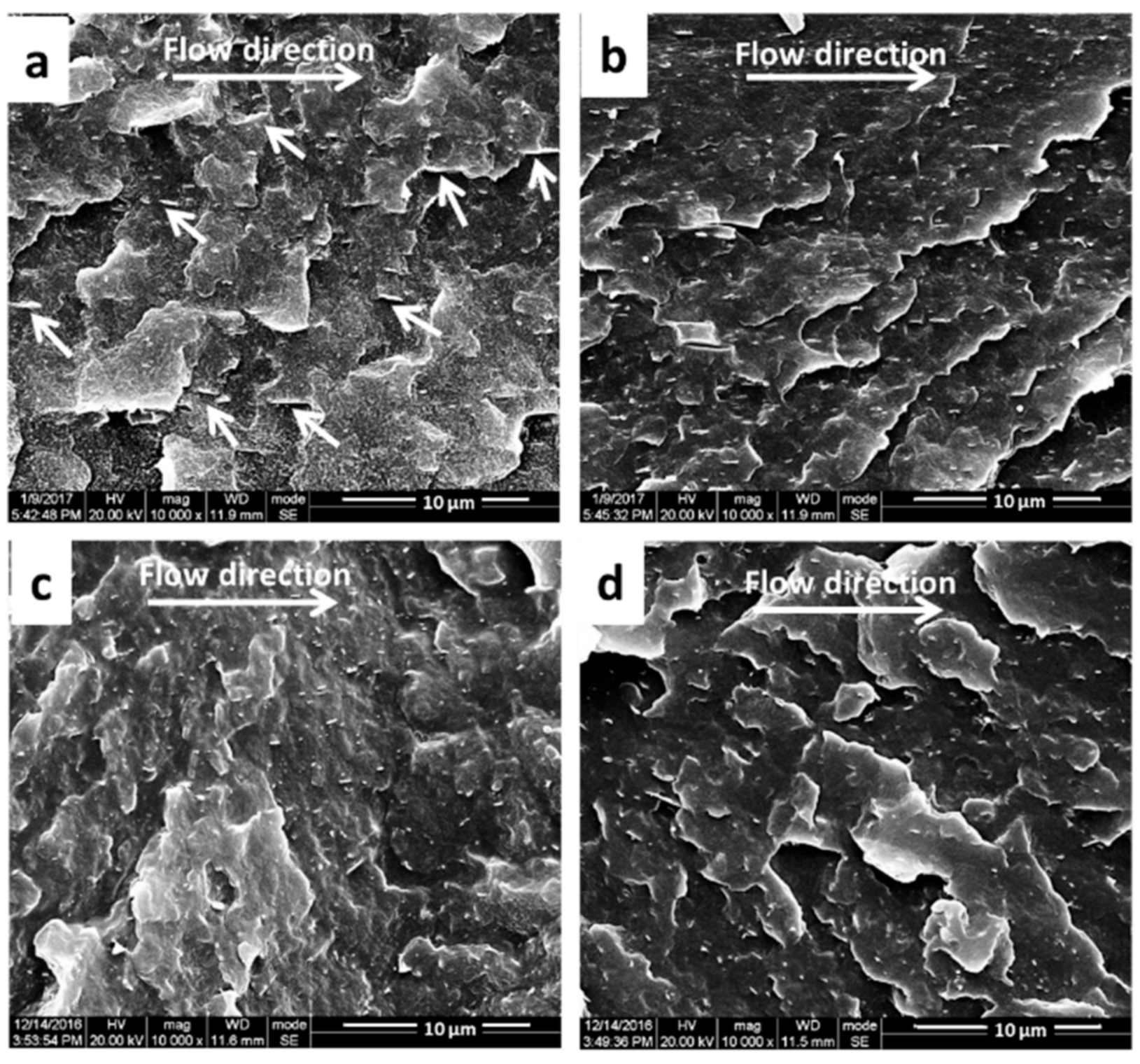 Polymers 13 03292 g008
