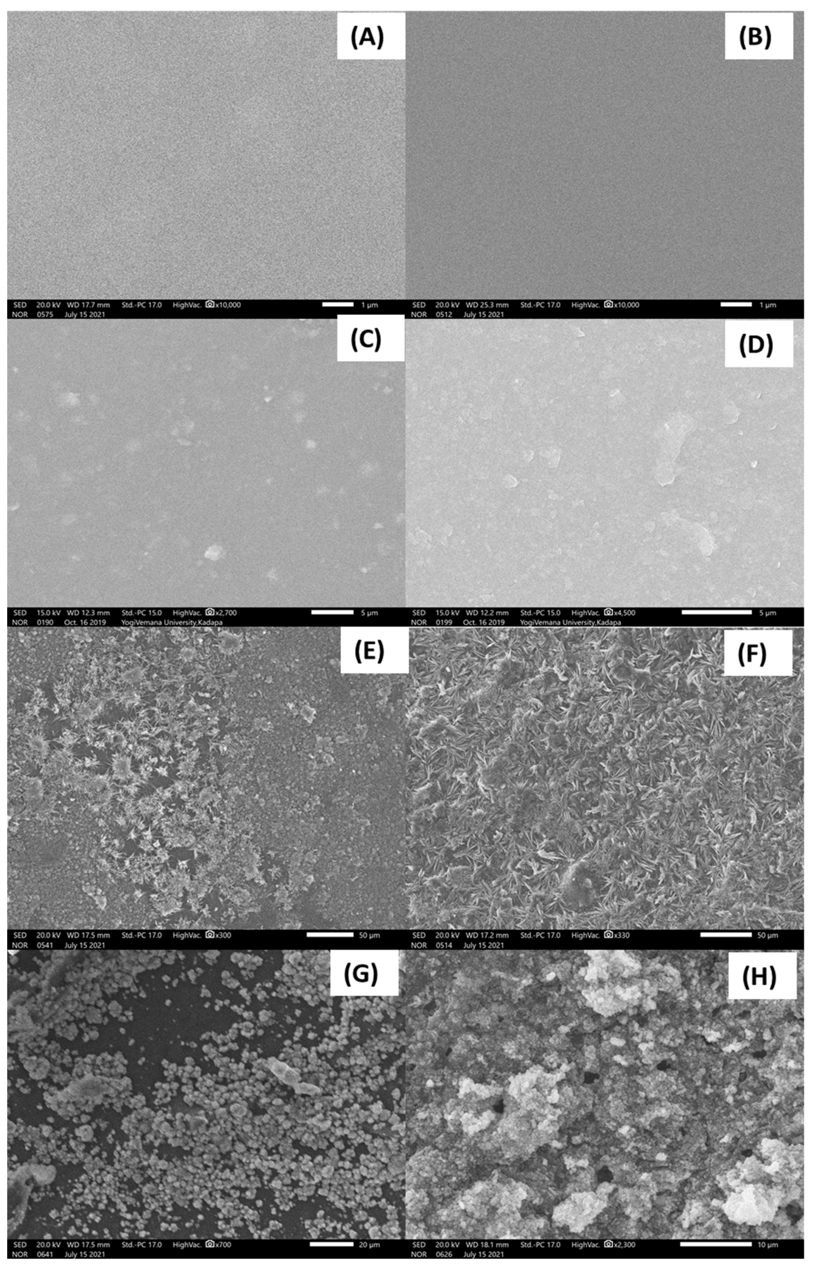Polymers 13 03293 g003