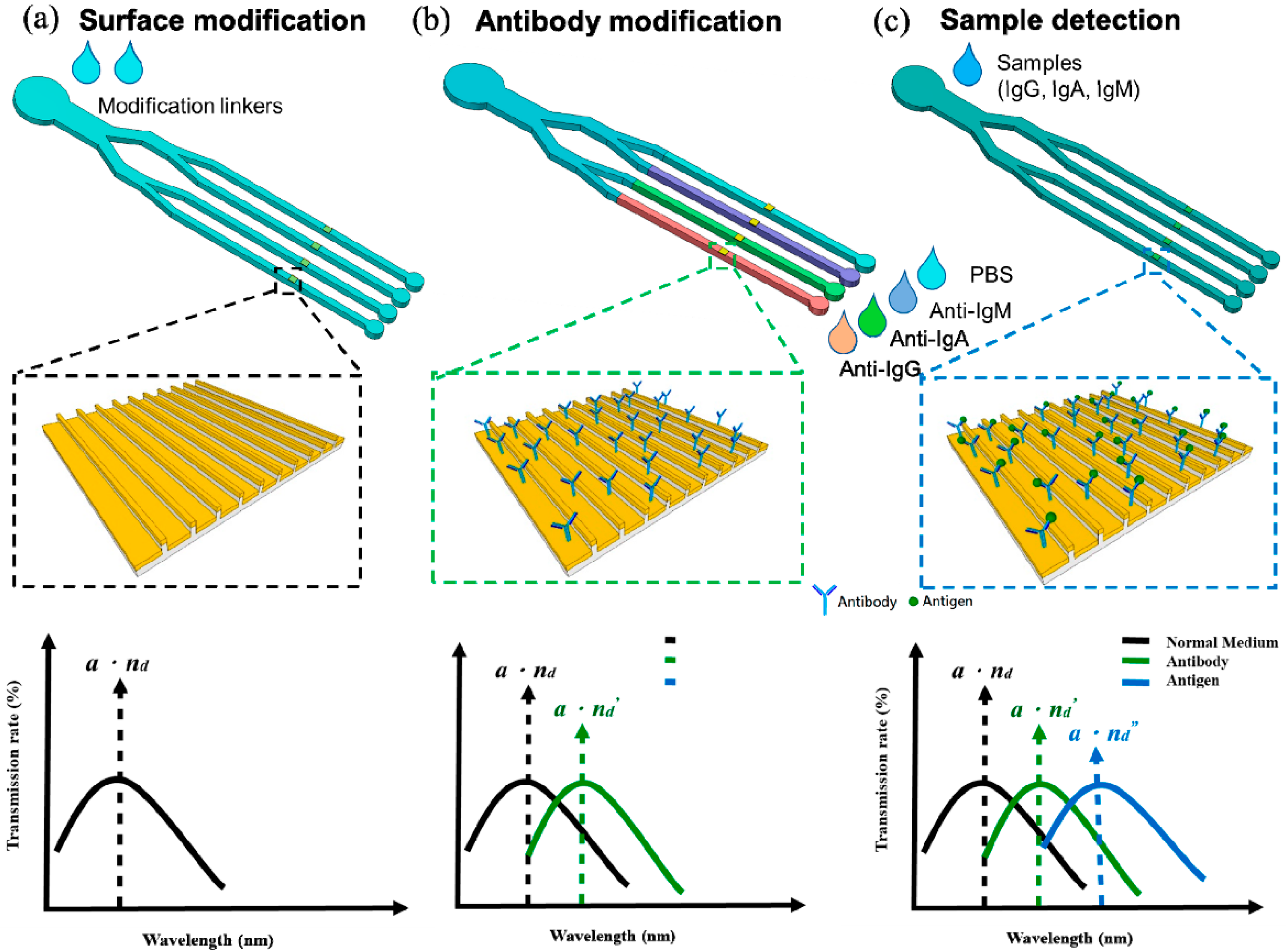 Polymers 13 03294 g001