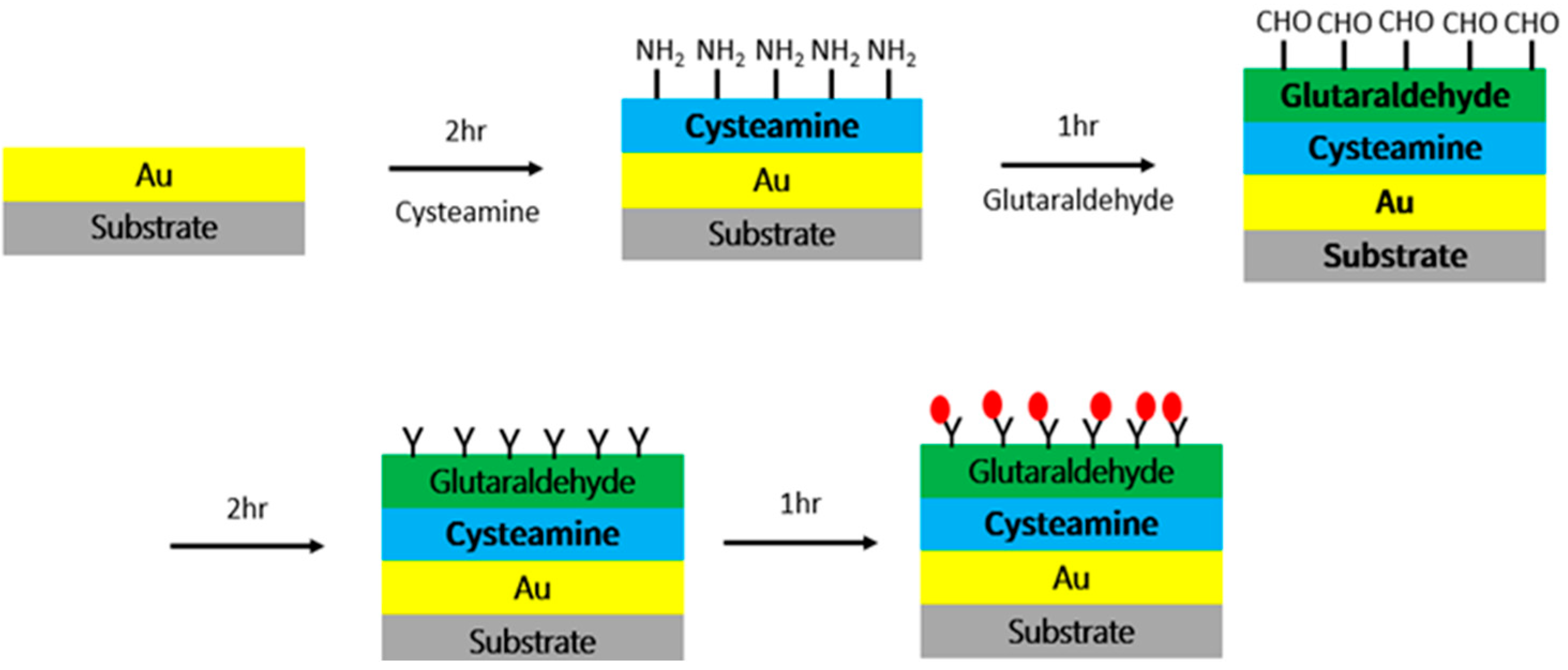 Polymers 13 03294 g003