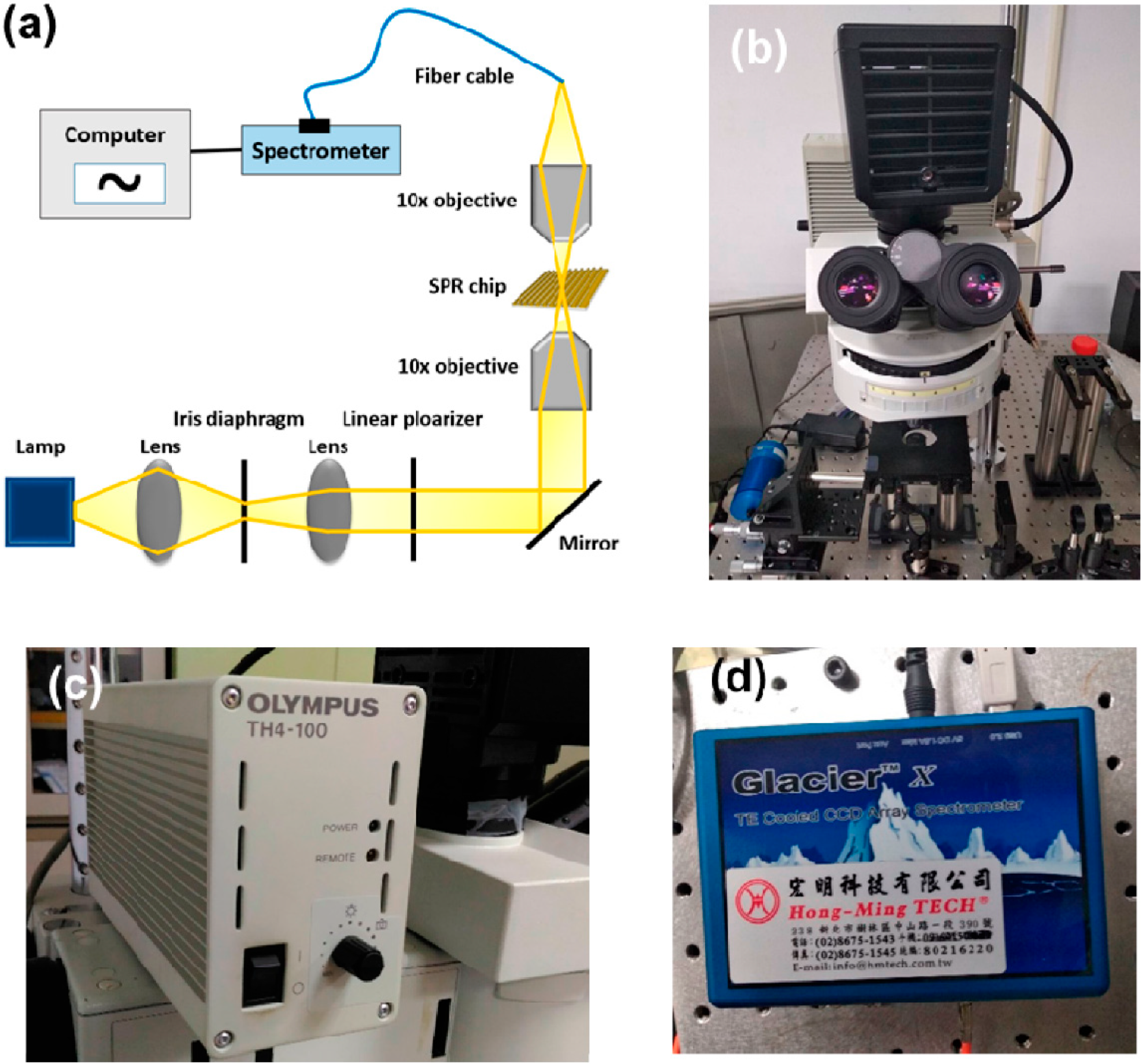 Polymers 13 03294 g004