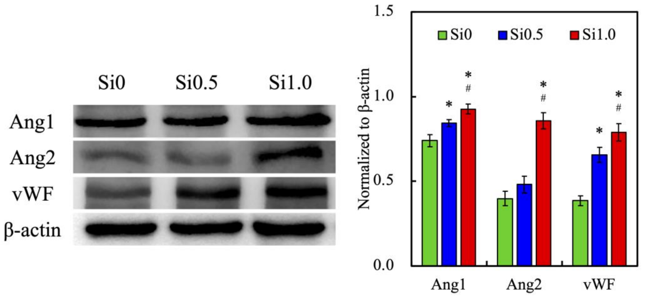 Polymers 13 03301 g007