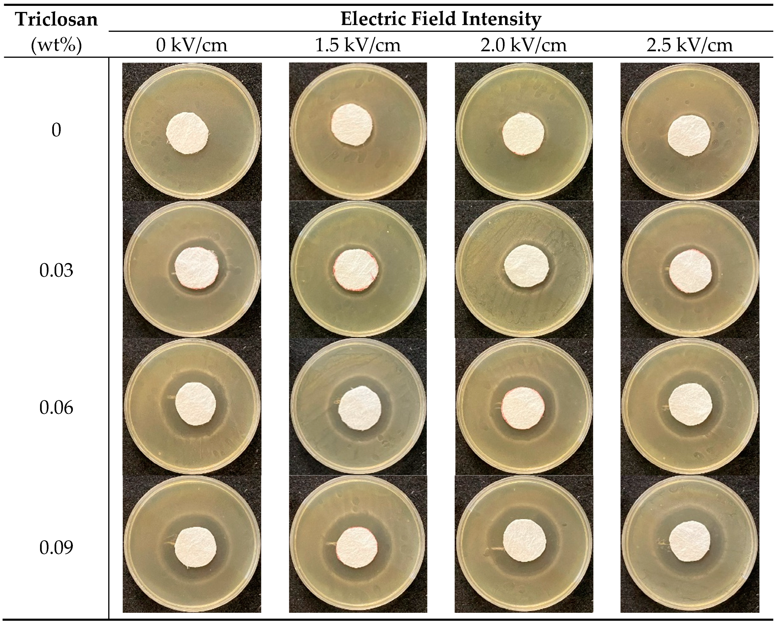 Polymers 13 03303 g004
