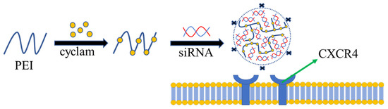 Polymers | Free Full-Text | Application of Non-Viral Vectors in Drug  Delivery and Gene Therapy