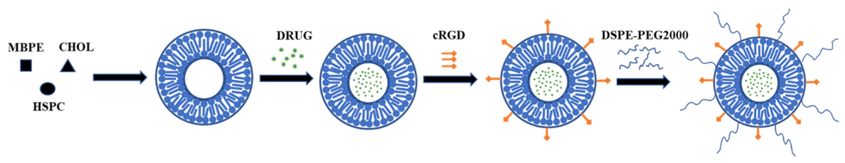 Polymers 13 03307 g003 Polymers 13 03307 g003