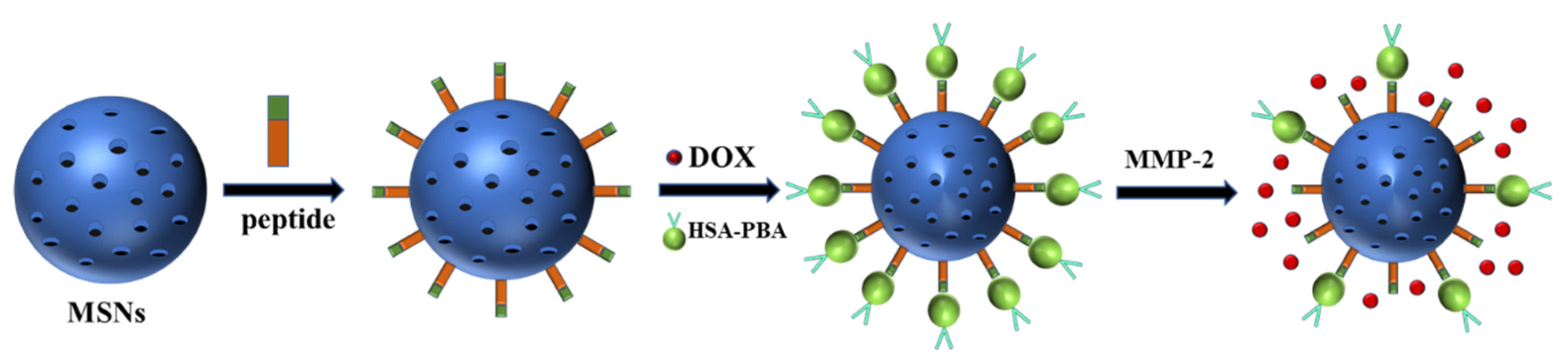 Polymers 13 03307 g006 Polymers 13 03307 g006