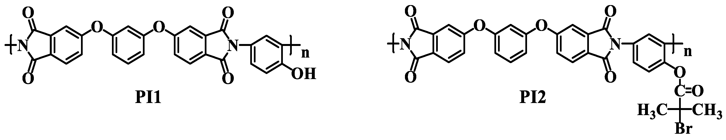 Polymers 13 03312 g001