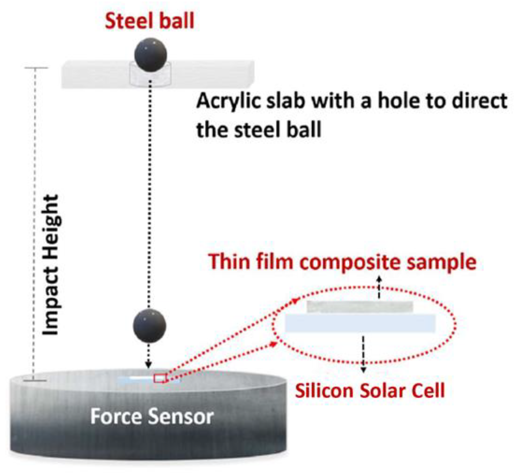 Polymers 13 03315 g002