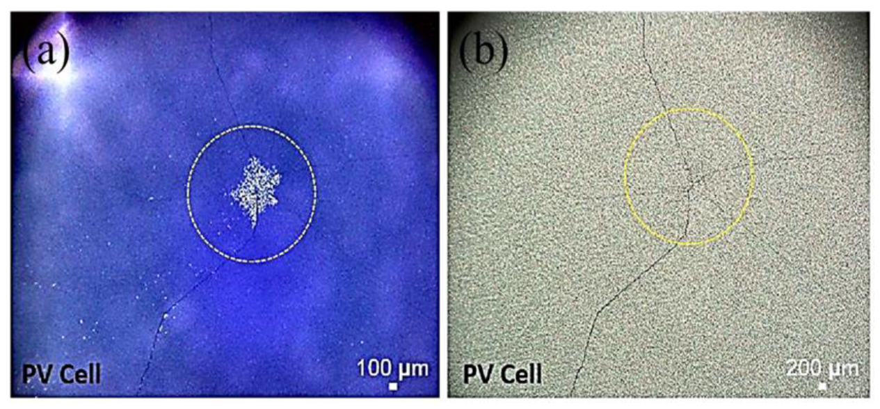 Polymers 13 03315 g004