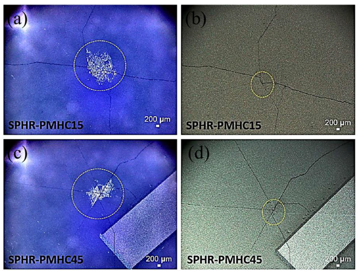 Polymers 13 03315 g006